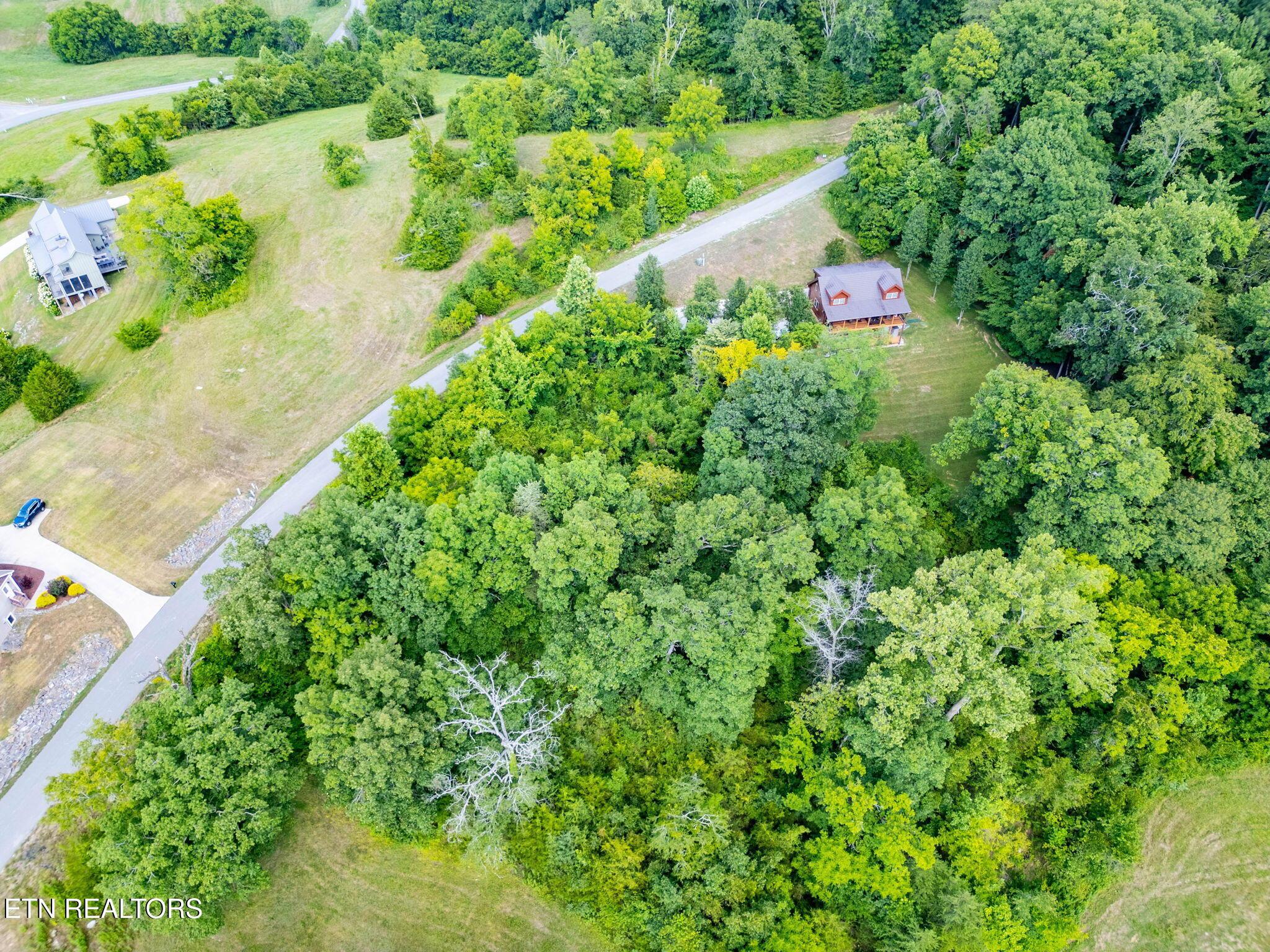 Norris Lake Real Estate - Image# 5