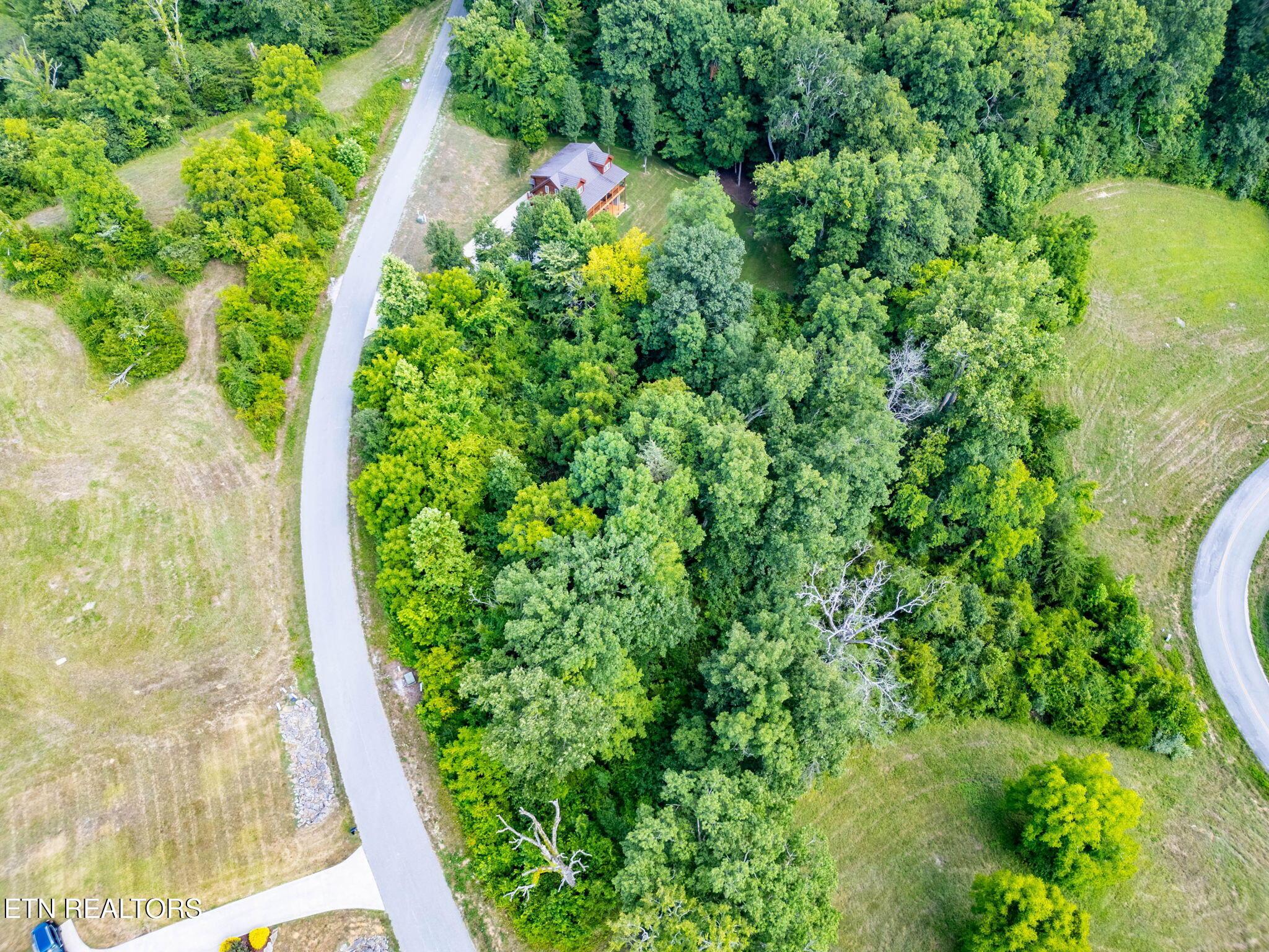 Norris Lake Real Estate - Image# 6
