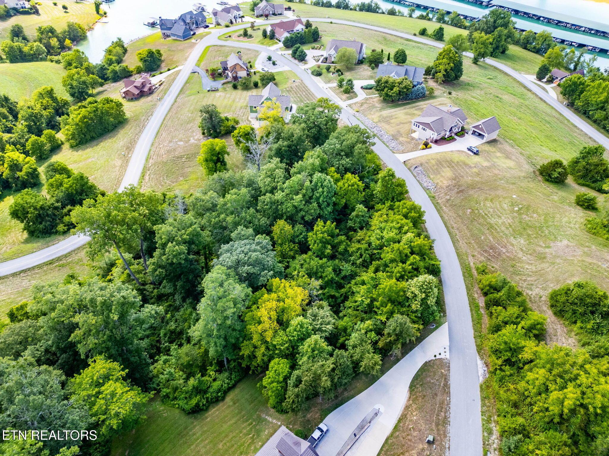 Norris Lake Real Estate - Image# 7
