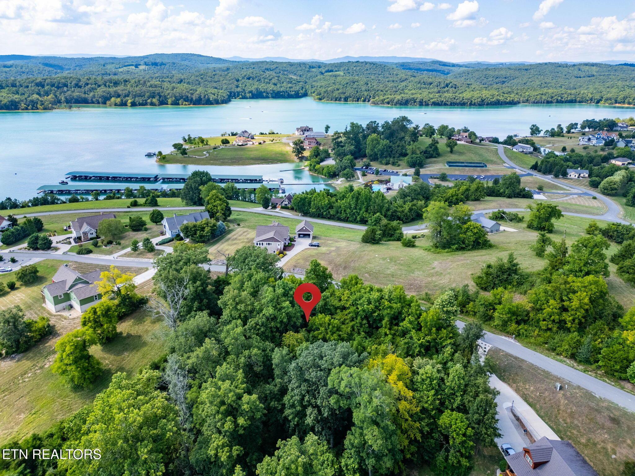 Norris Lake Real Estate - Image# 8