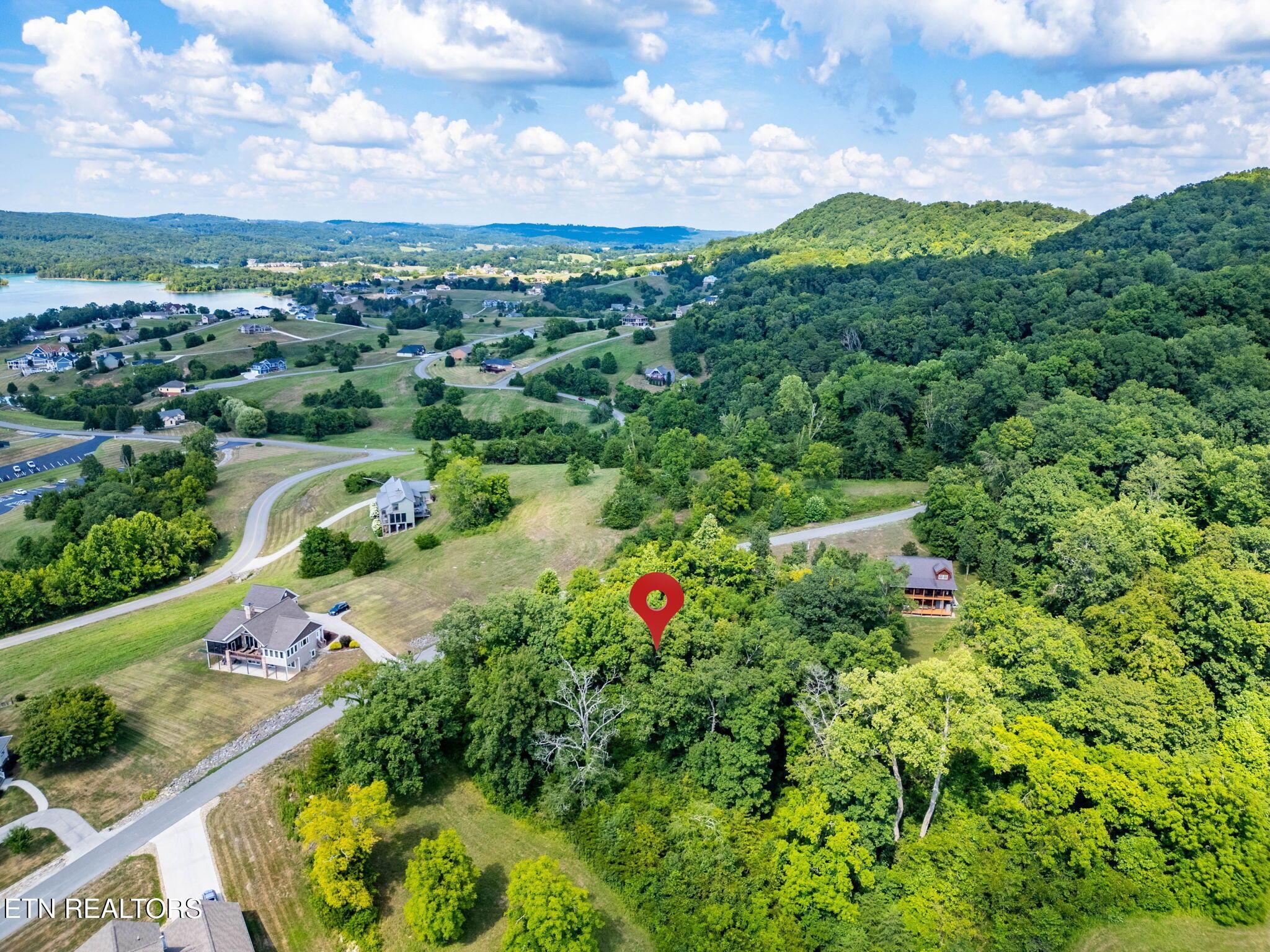 Norris Lake Real Estate - Image# 11