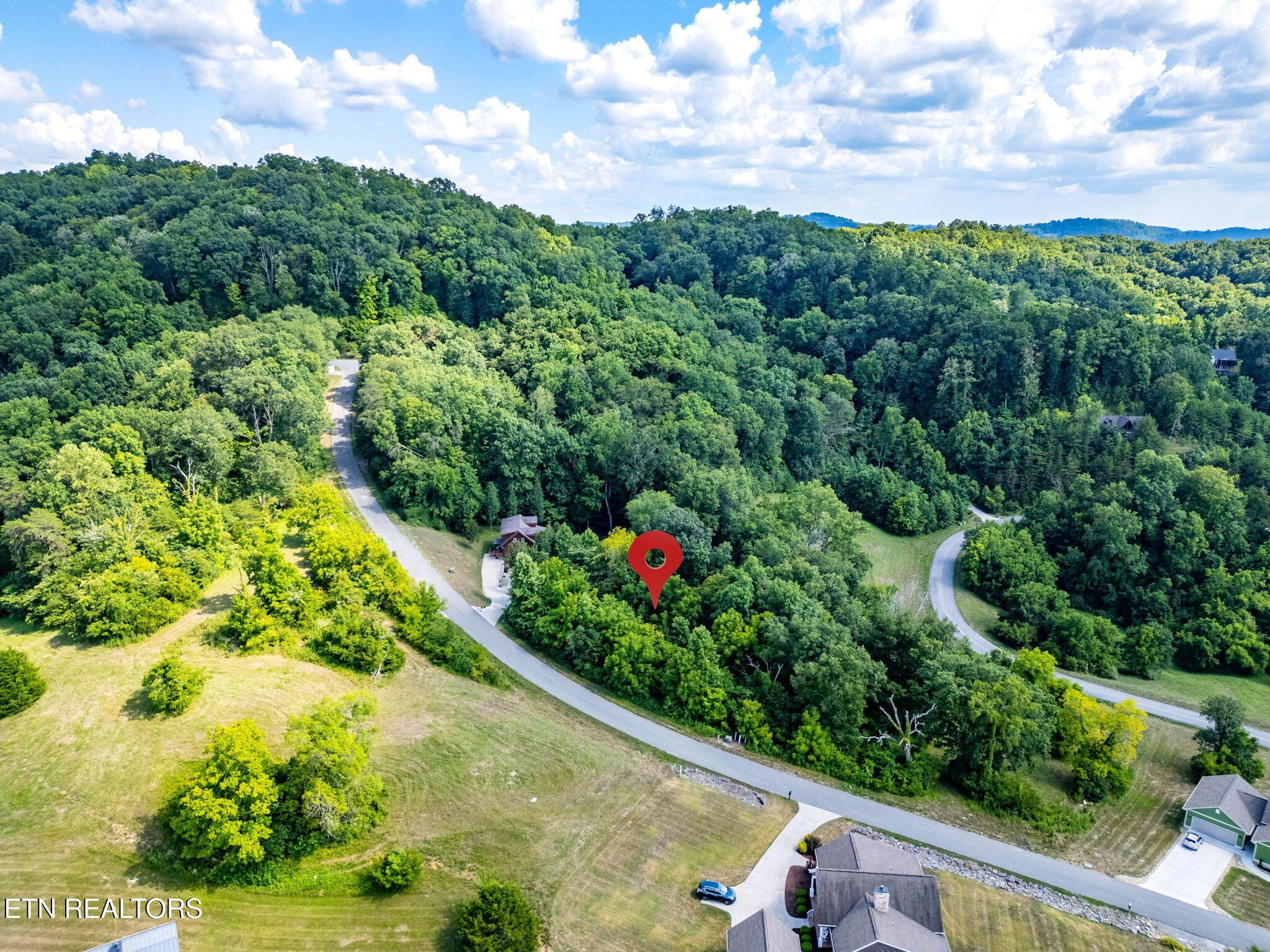 Norris Lake Real Estate - Image# 12
