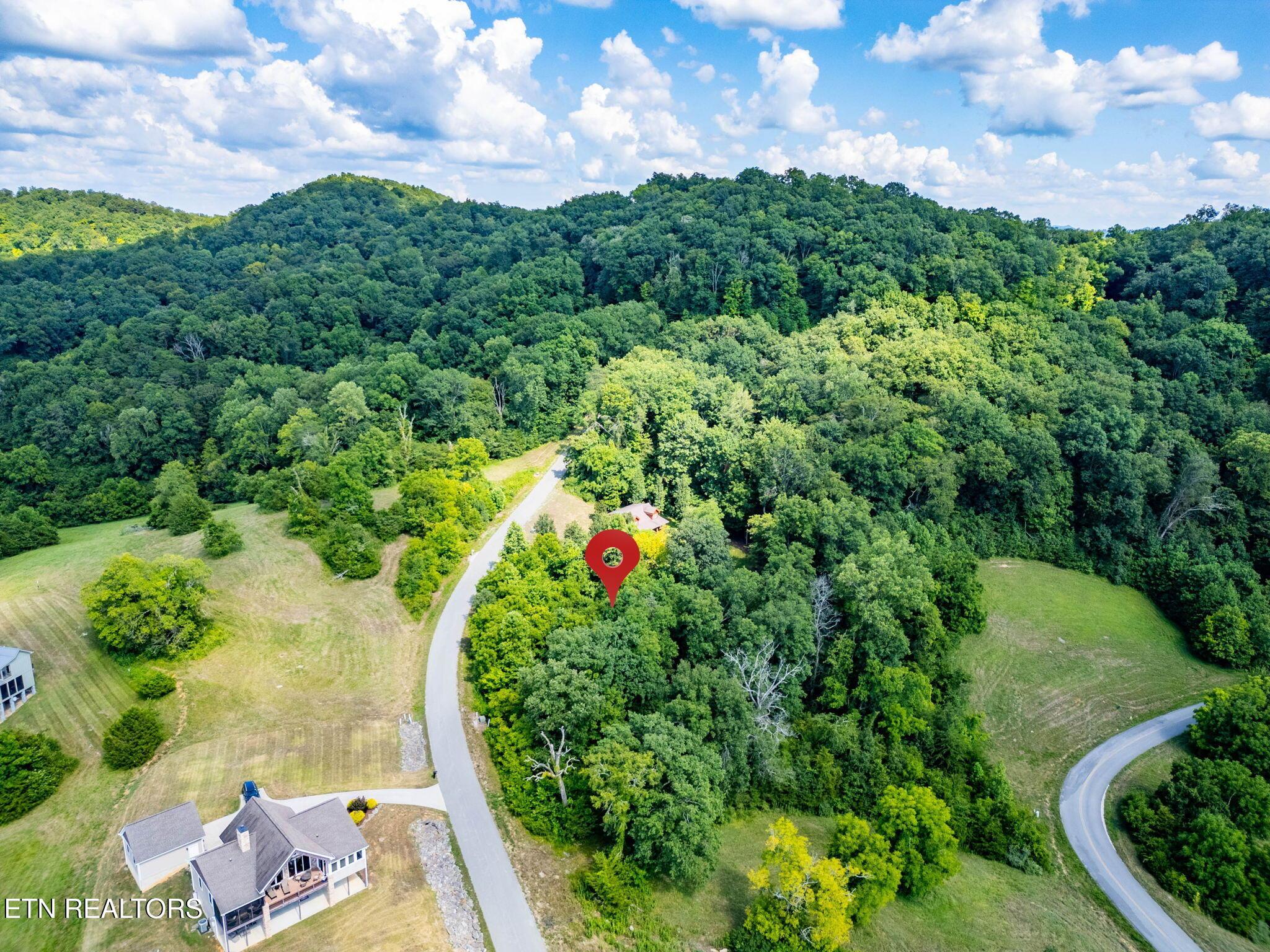 Norris Lake Real Estate - Image# 13