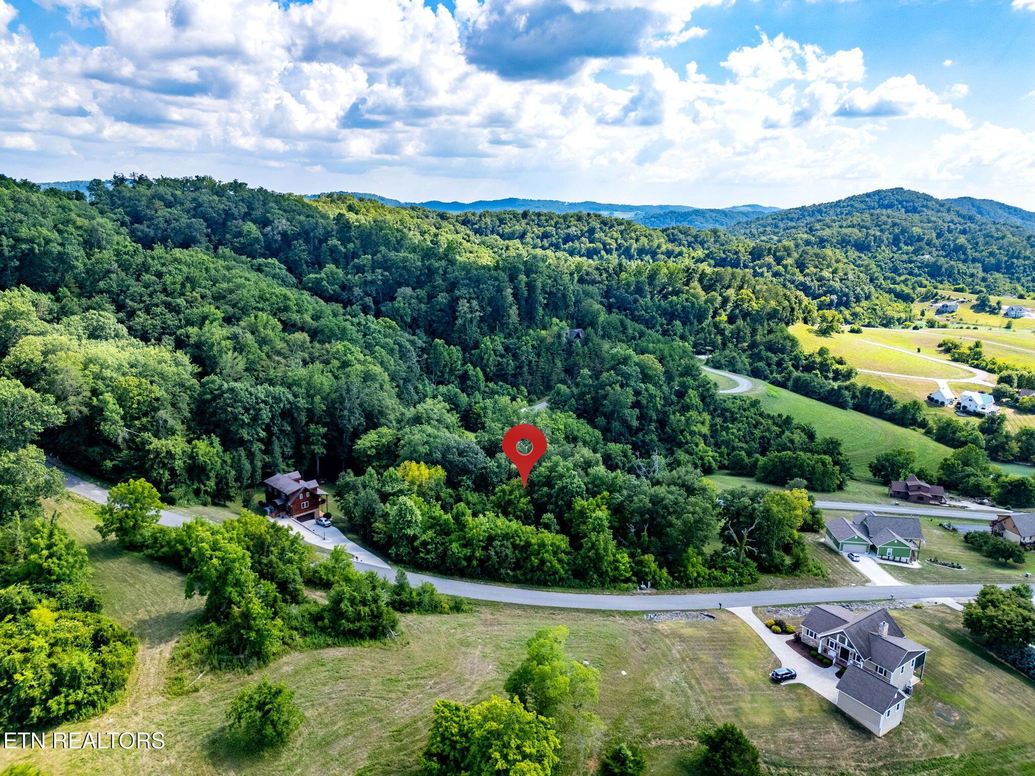 Norris Lake Real Estate - Image# 16