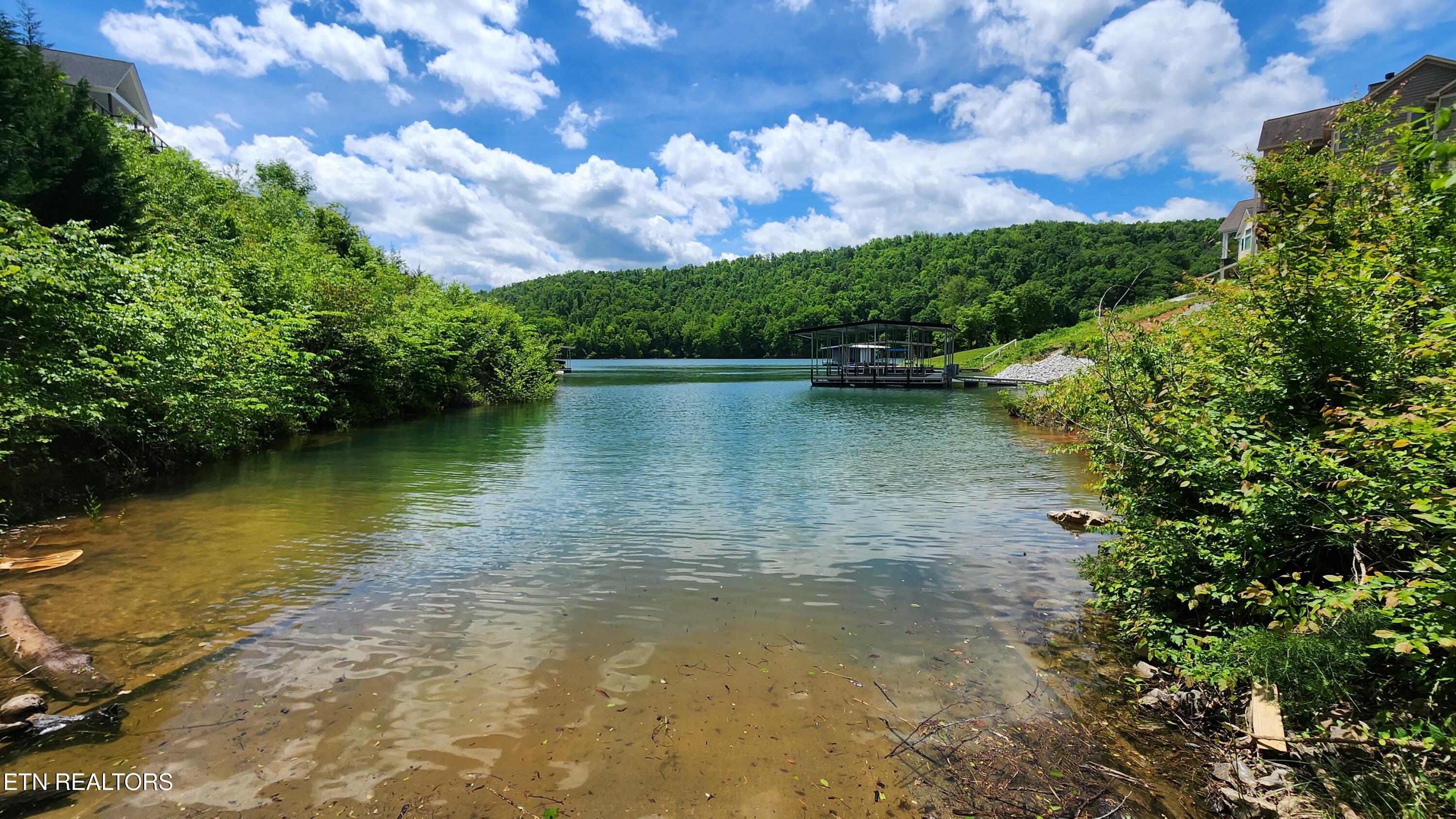 Norris Lake Real Estate - Image# 2