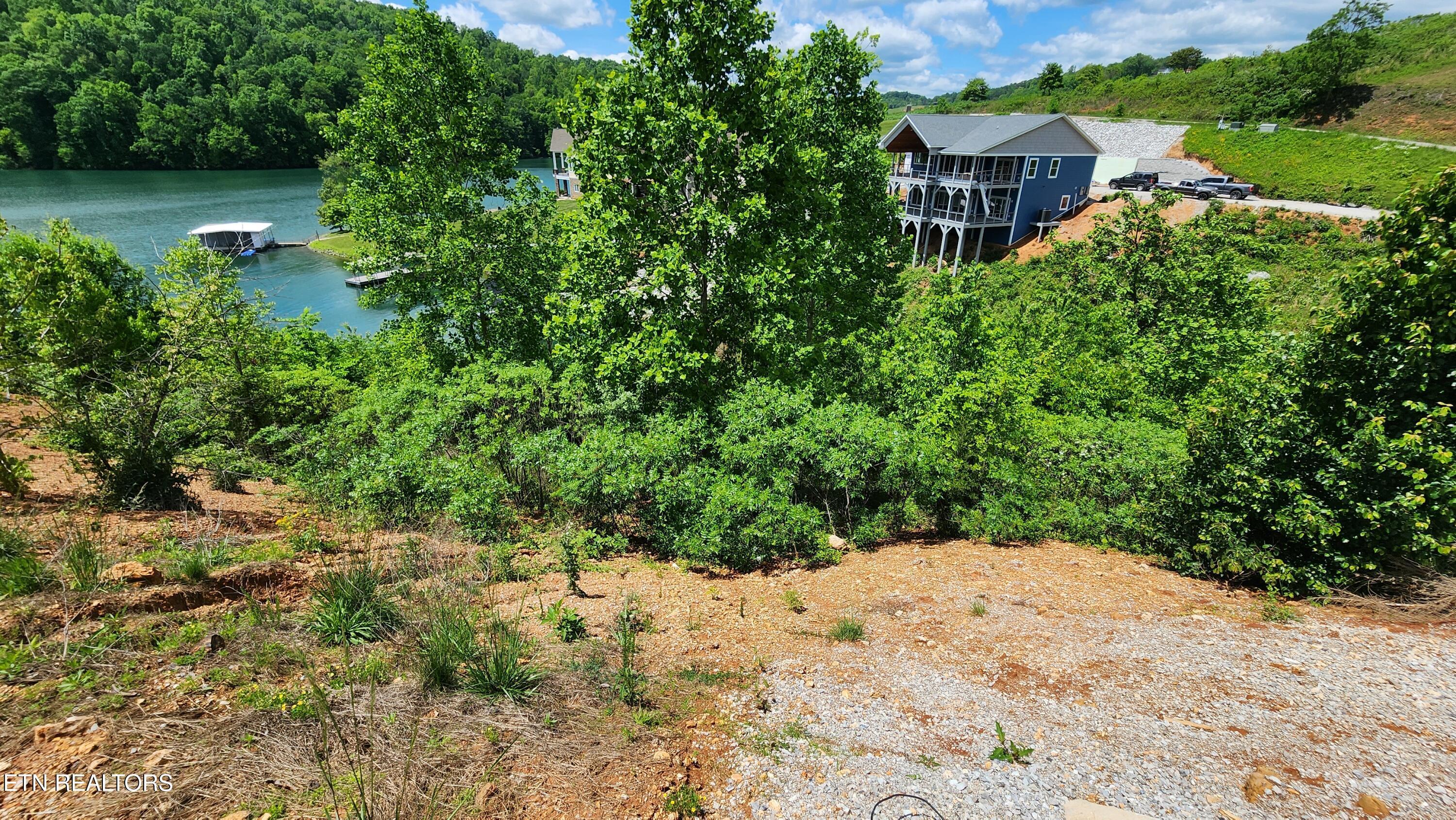 Norris Lake Real Estate - Image# 3