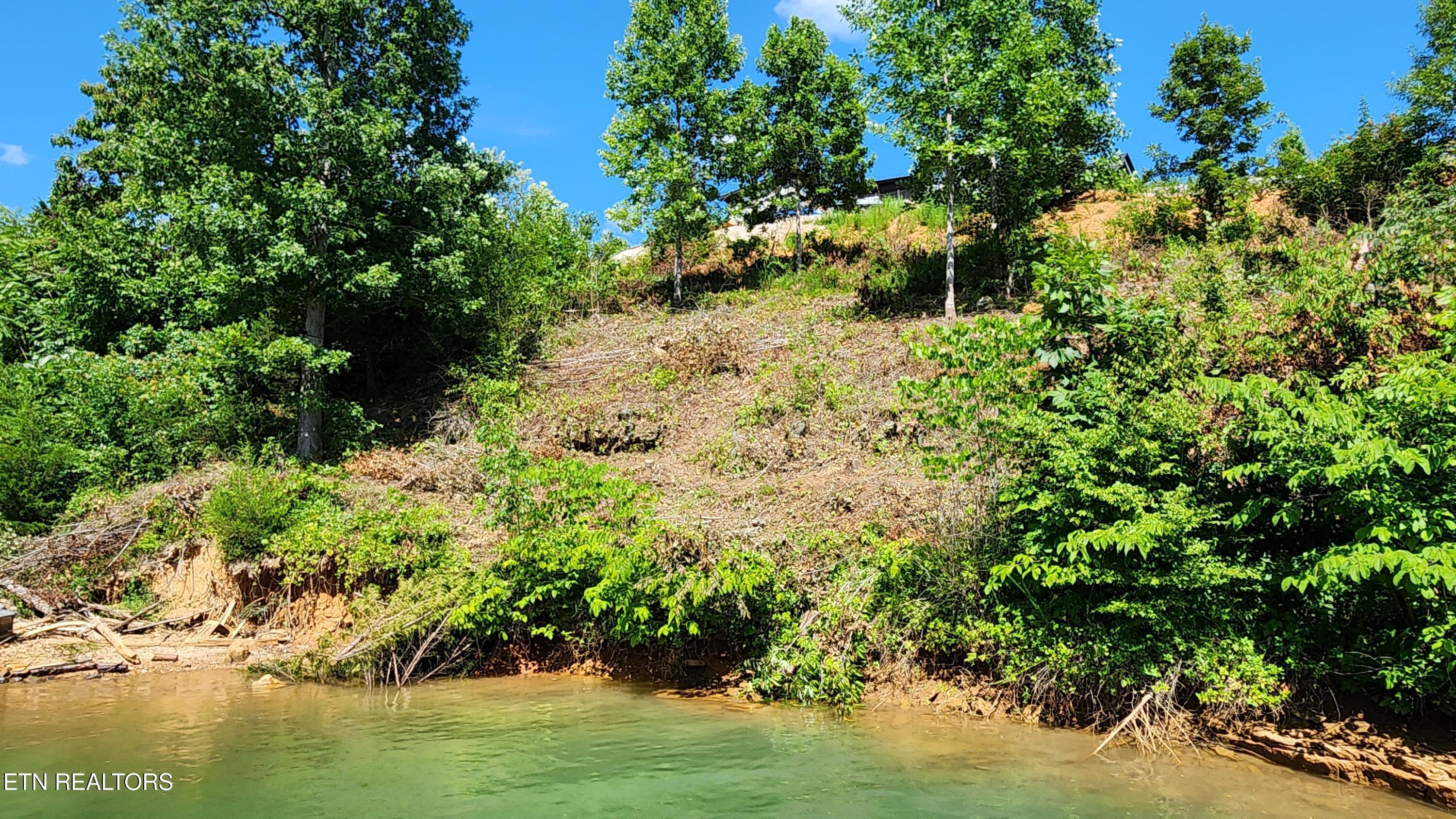 Norris Lake Real Estate - Image# 8