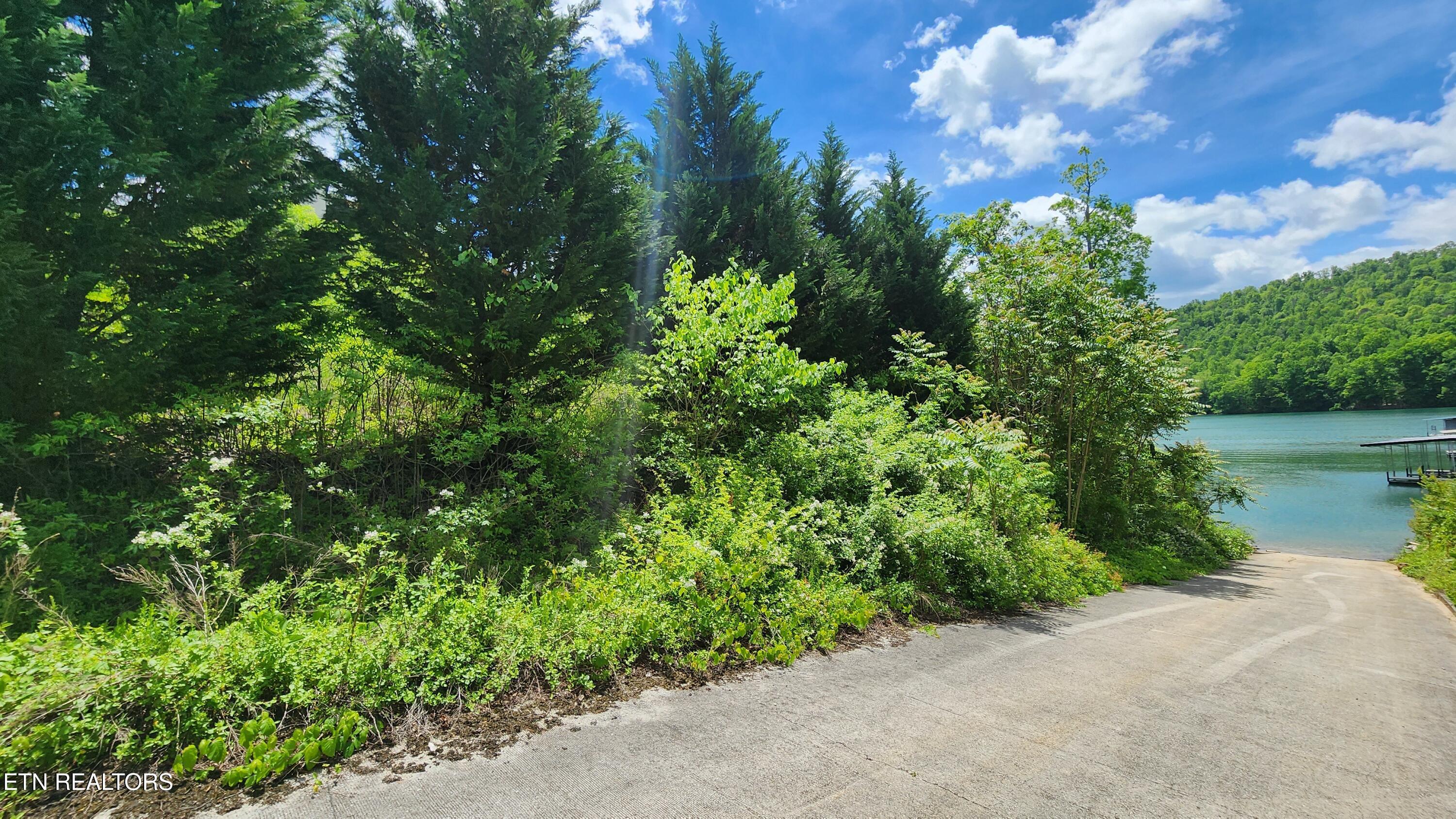 Norris Lake Real Estate - Image# 10