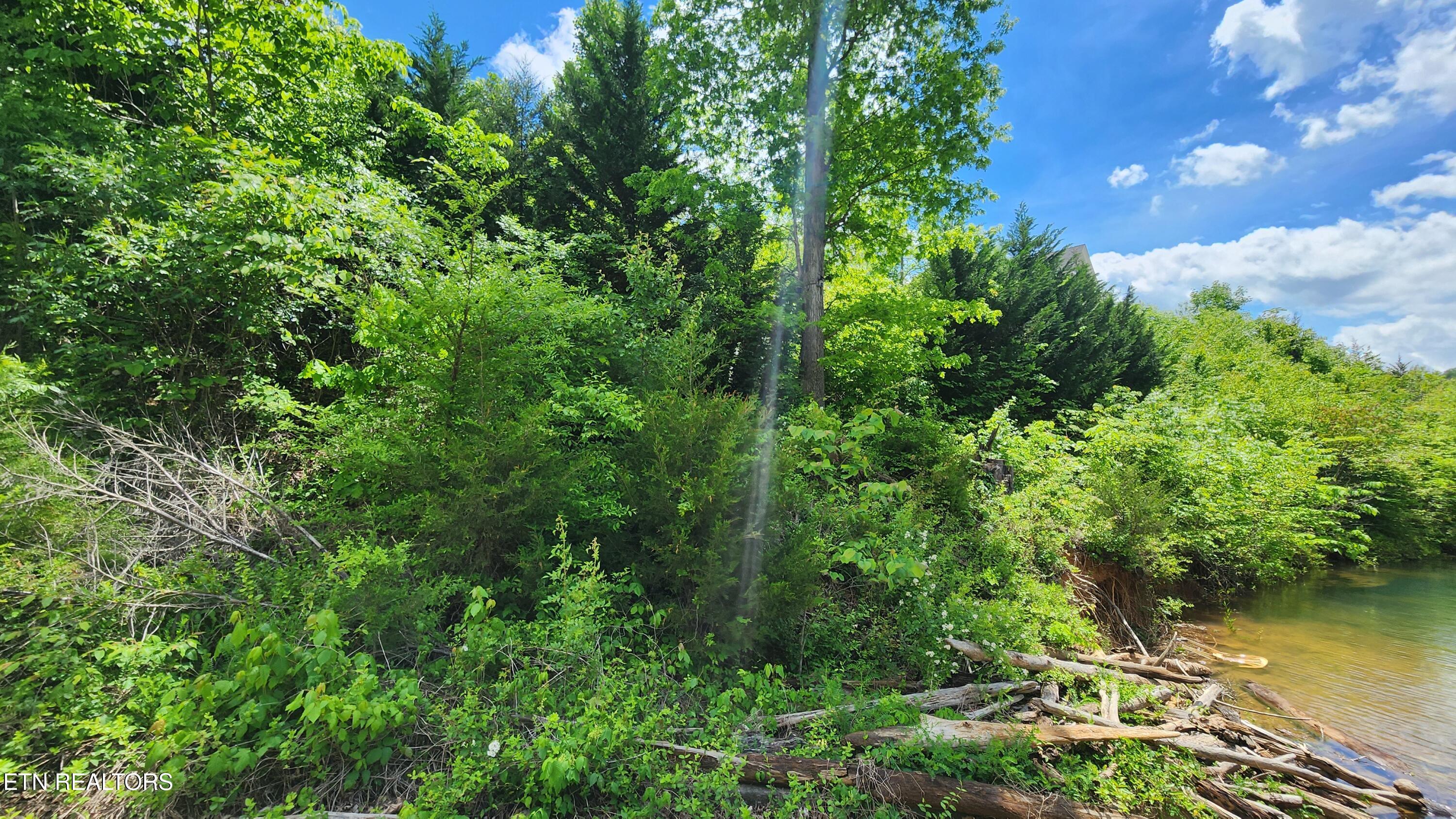 Norris Lake Real Estate - Image# 11