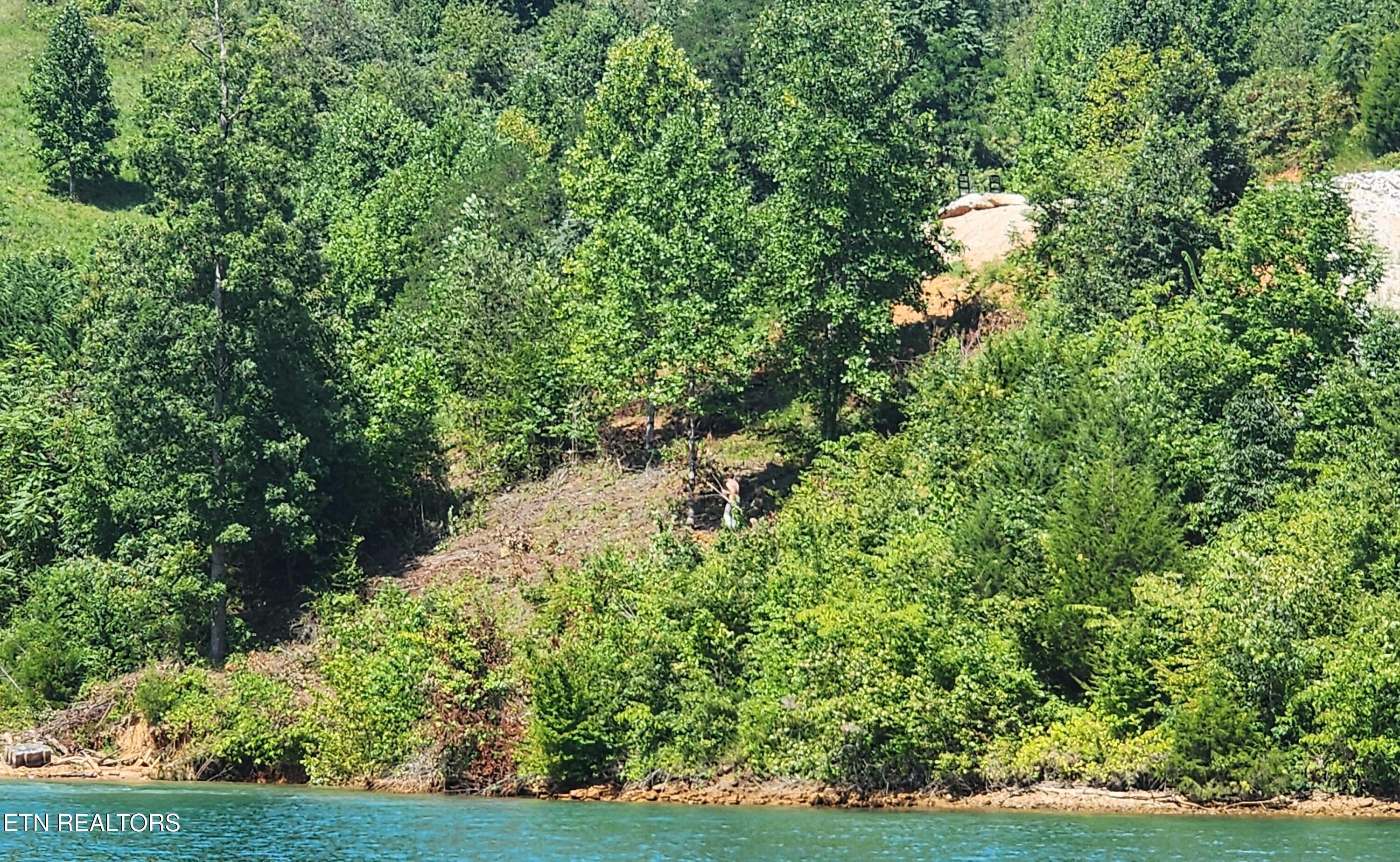 Norris Lake Real Estate - Image# 1