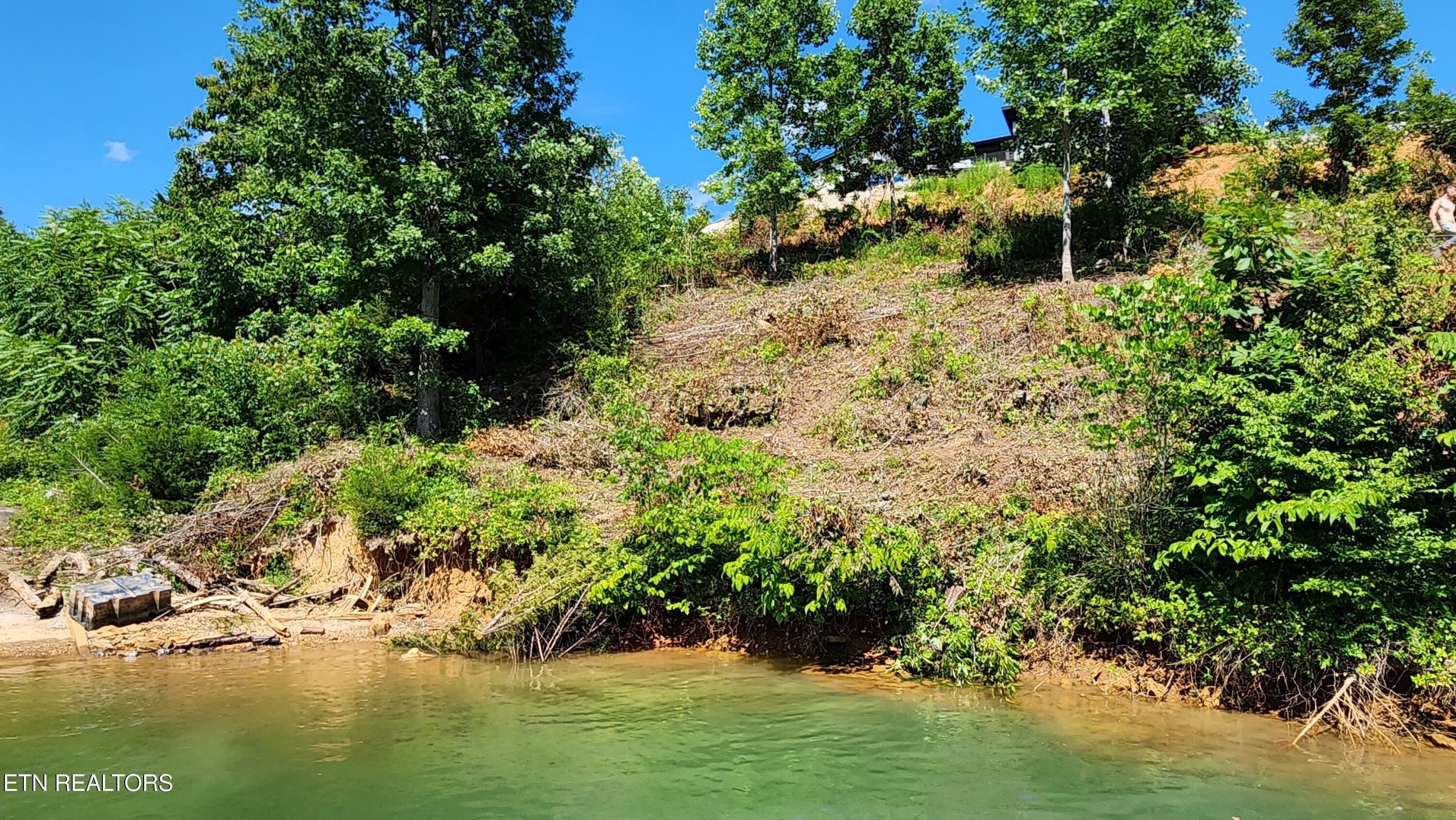 Norris Lake Real Estate - Image# 7
