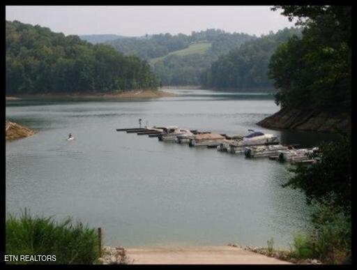Norris Lake Real Estate - Image# 9