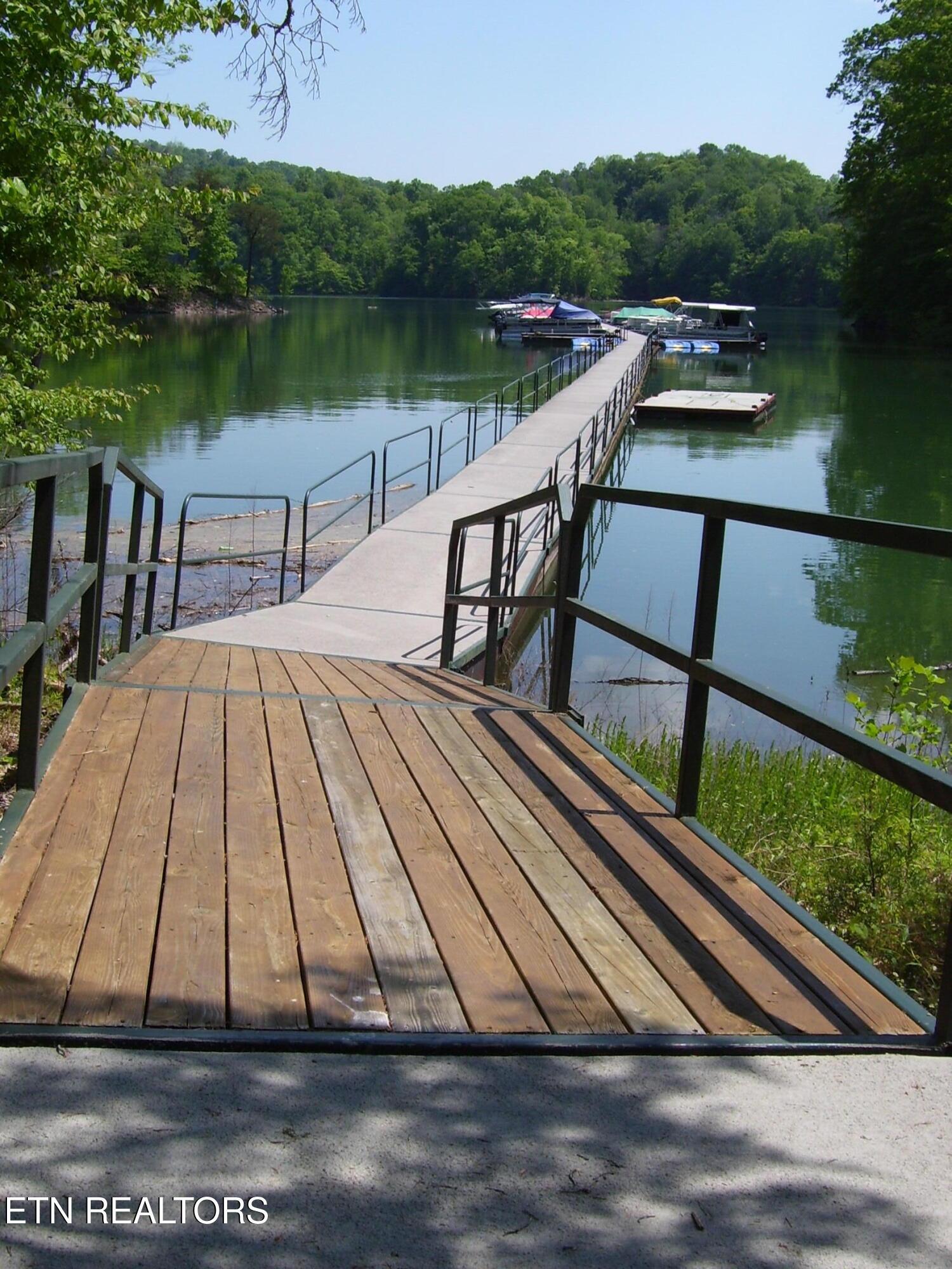 Norris Lake Real Estate - Image# 10