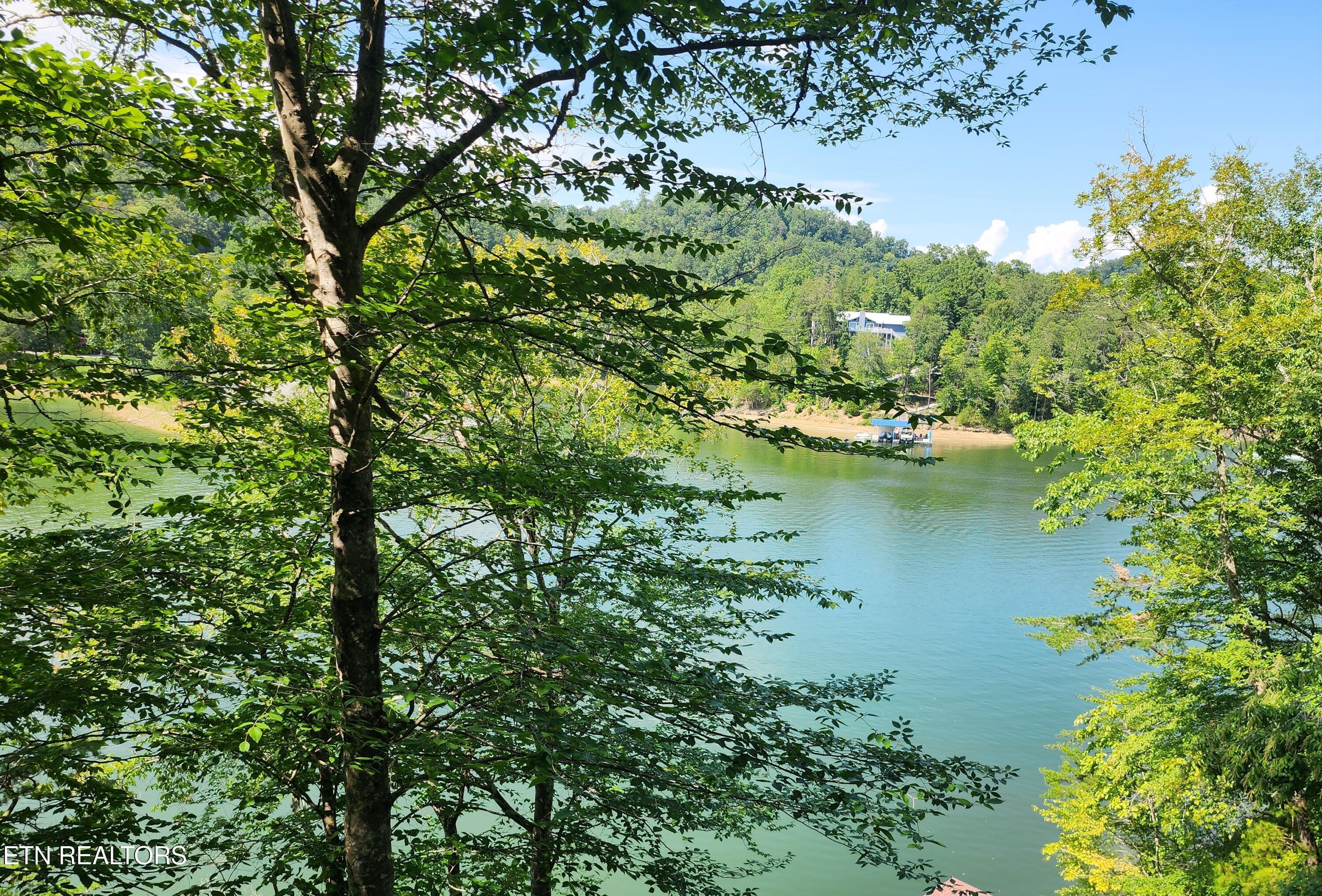 Norris Lake Real Estate - Image# 2