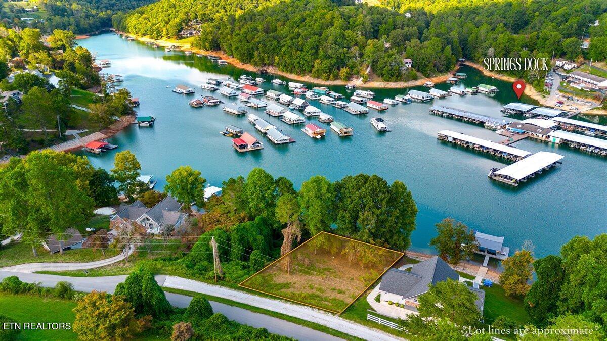 Norris Lake Real Estate - Image# 3