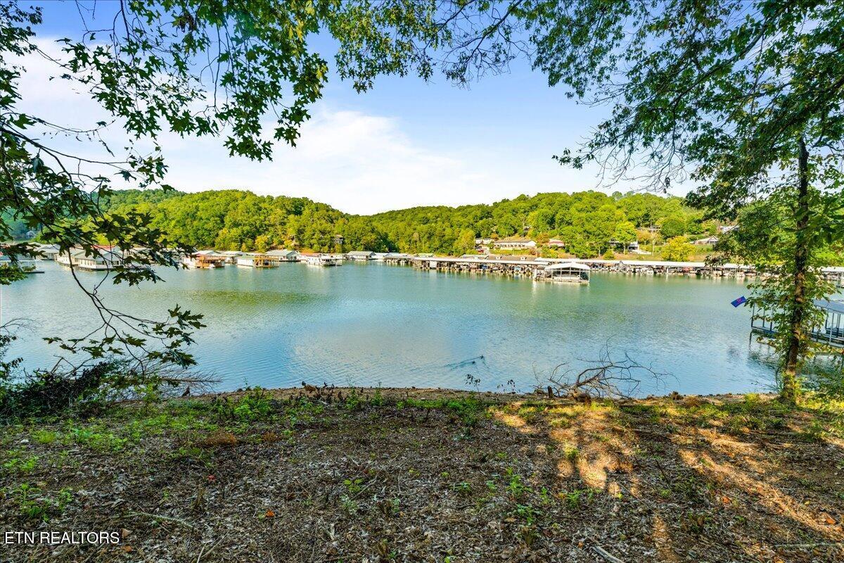 Norris Lake Real Estate - Image# 4