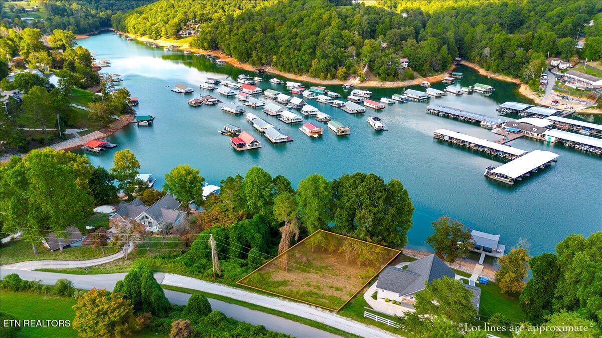 Norris Lake Real Estate - Image# 5