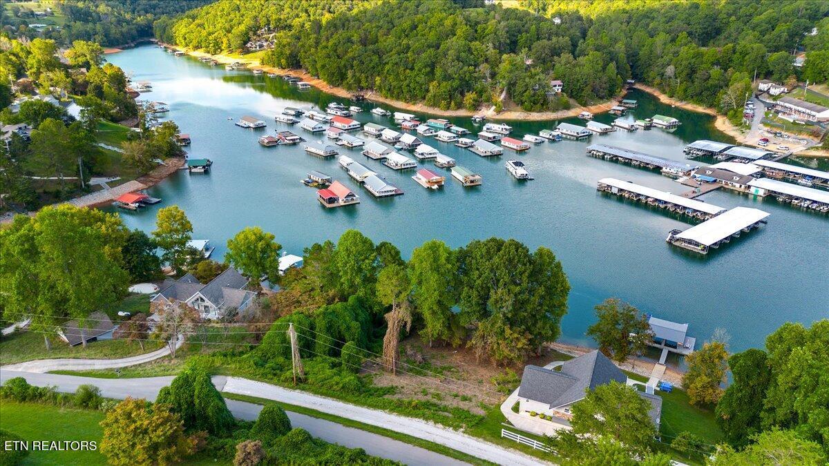 Norris Lake Real Estate - Image# 8