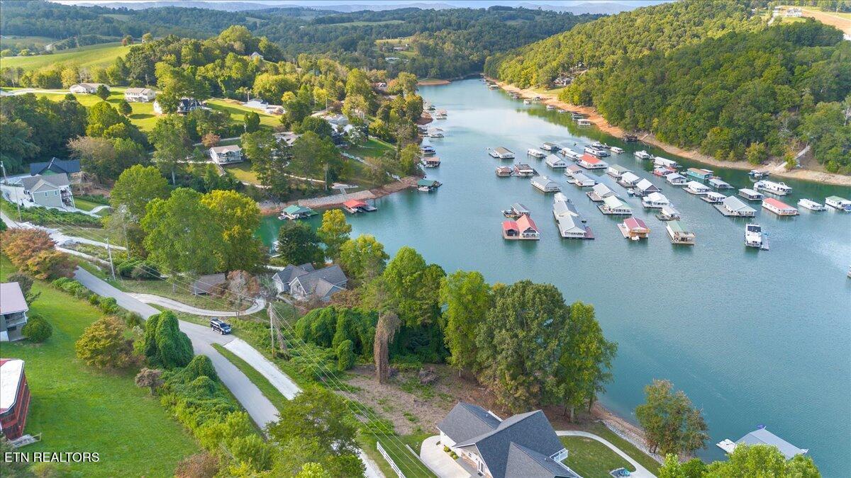 Norris Lake Real Estate - Image# 9