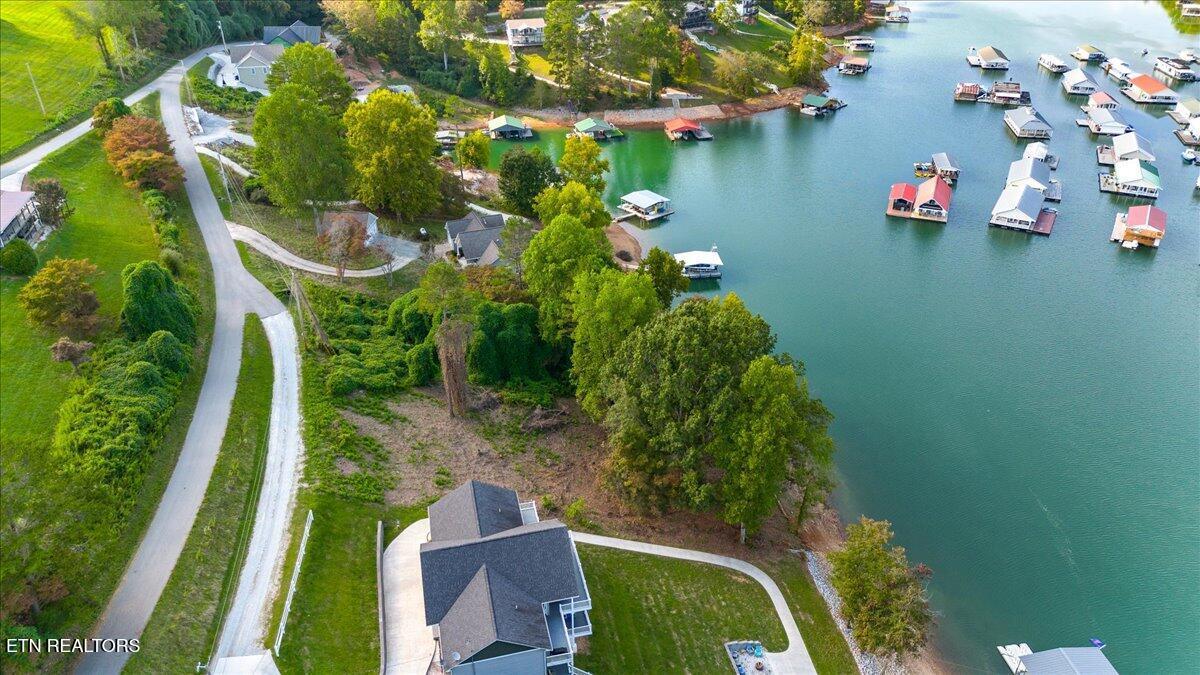 Norris Lake Real Estate - Image# 10