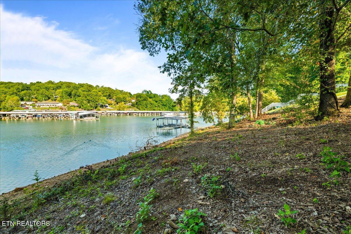 Norris Lake Real Estate - Image# 14