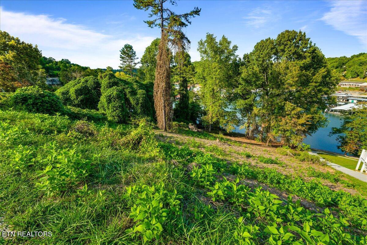 Norris Lake Real Estate - Image# 16