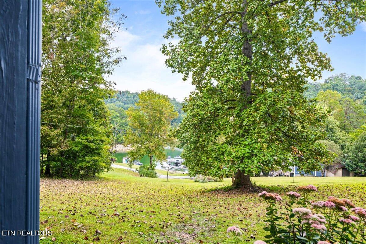 398 Perry Smith Lane, Caryville, TN - Norris Lake Real Estate - Image# 46