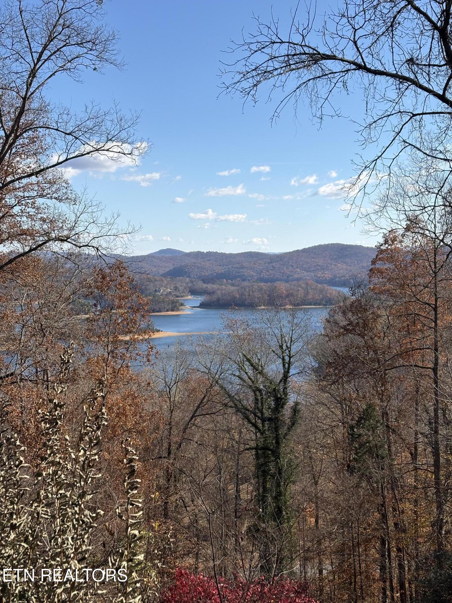 1130 Lakeview Drive, Sharps Chapel, TN - Norris Lake Real Estate - Image# 60