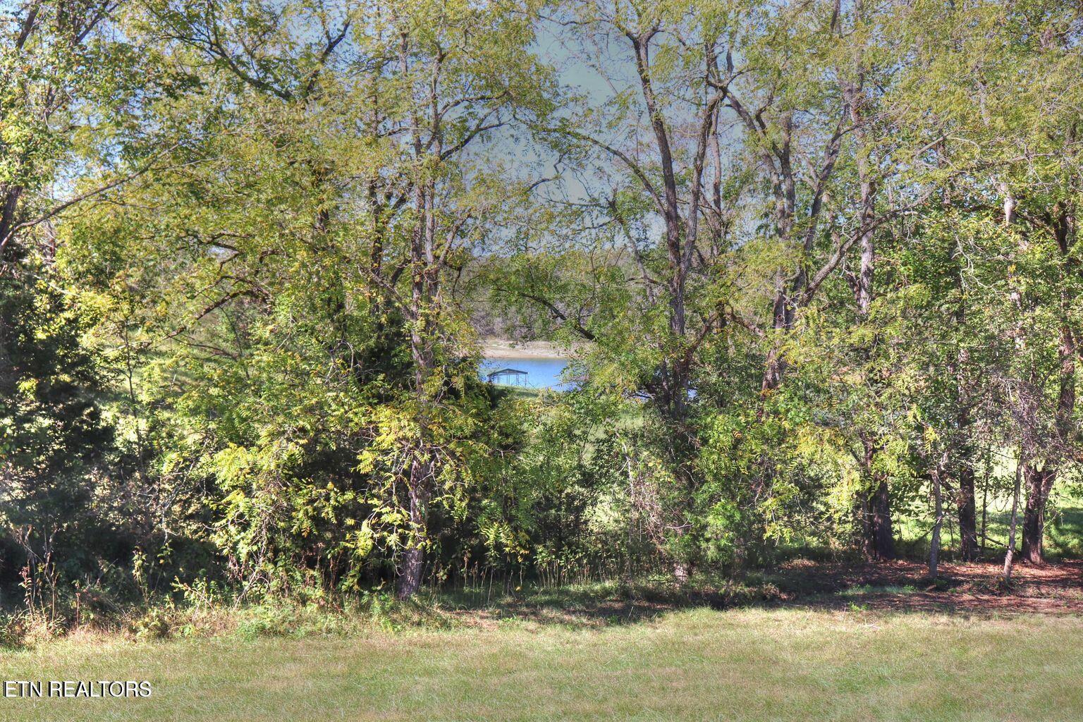 Norris Lake Real Estate - Image# 4