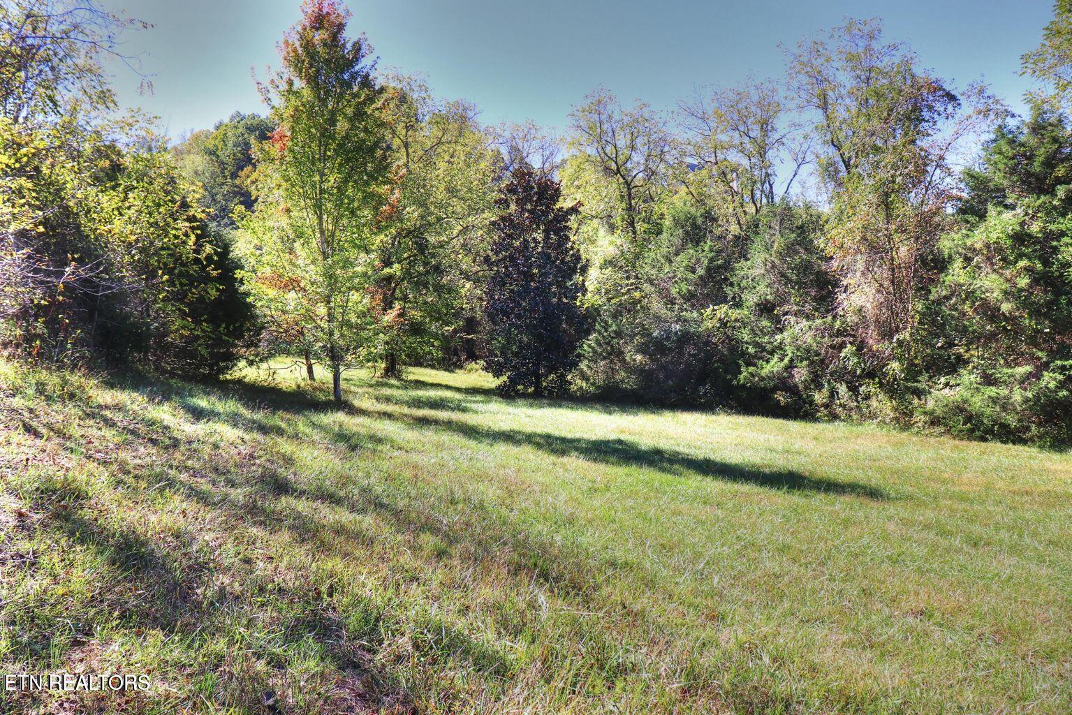 Norris Lake Real Estate - Image# 6