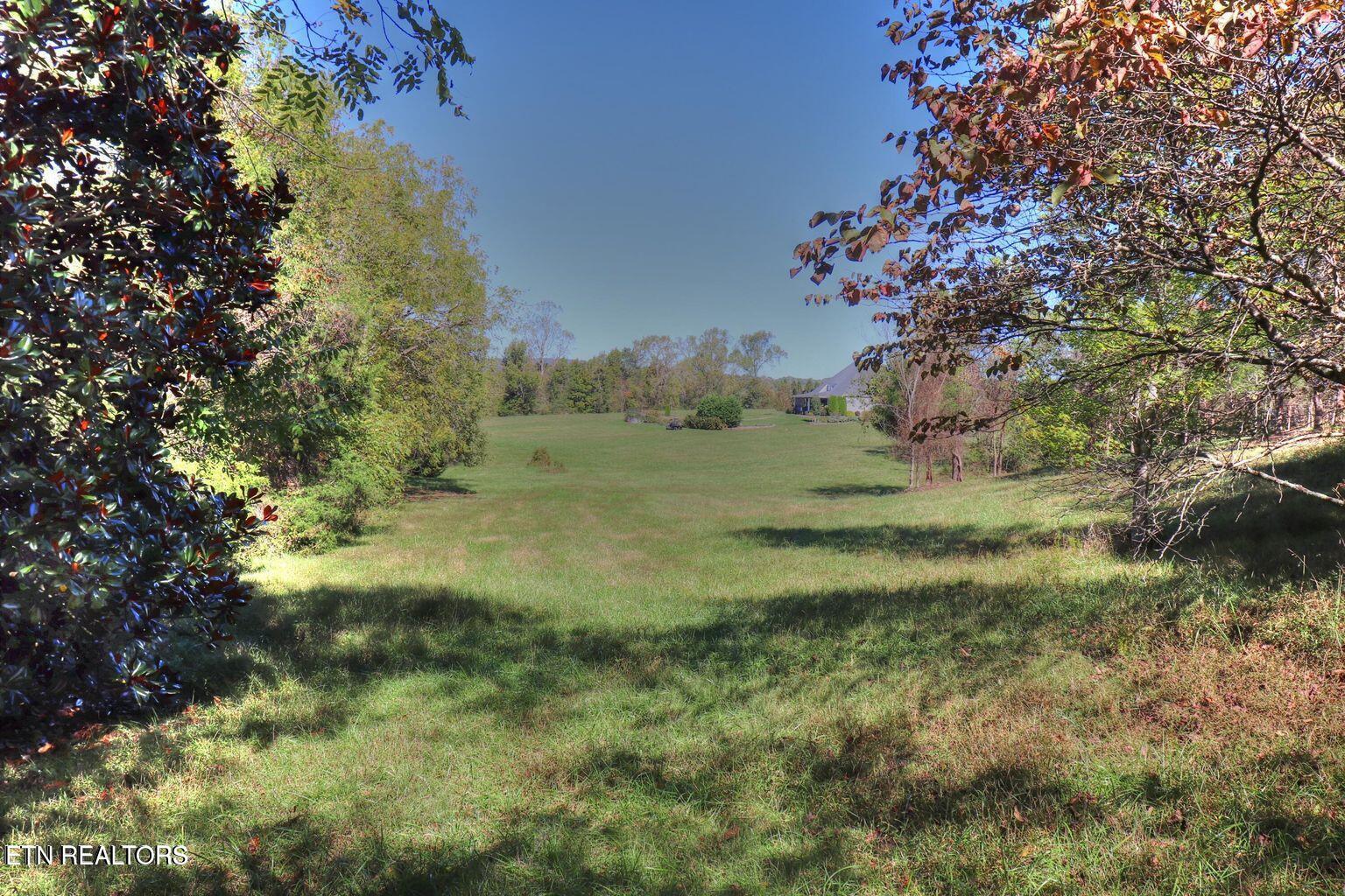 Norris Lake Real Estate - Image# 8