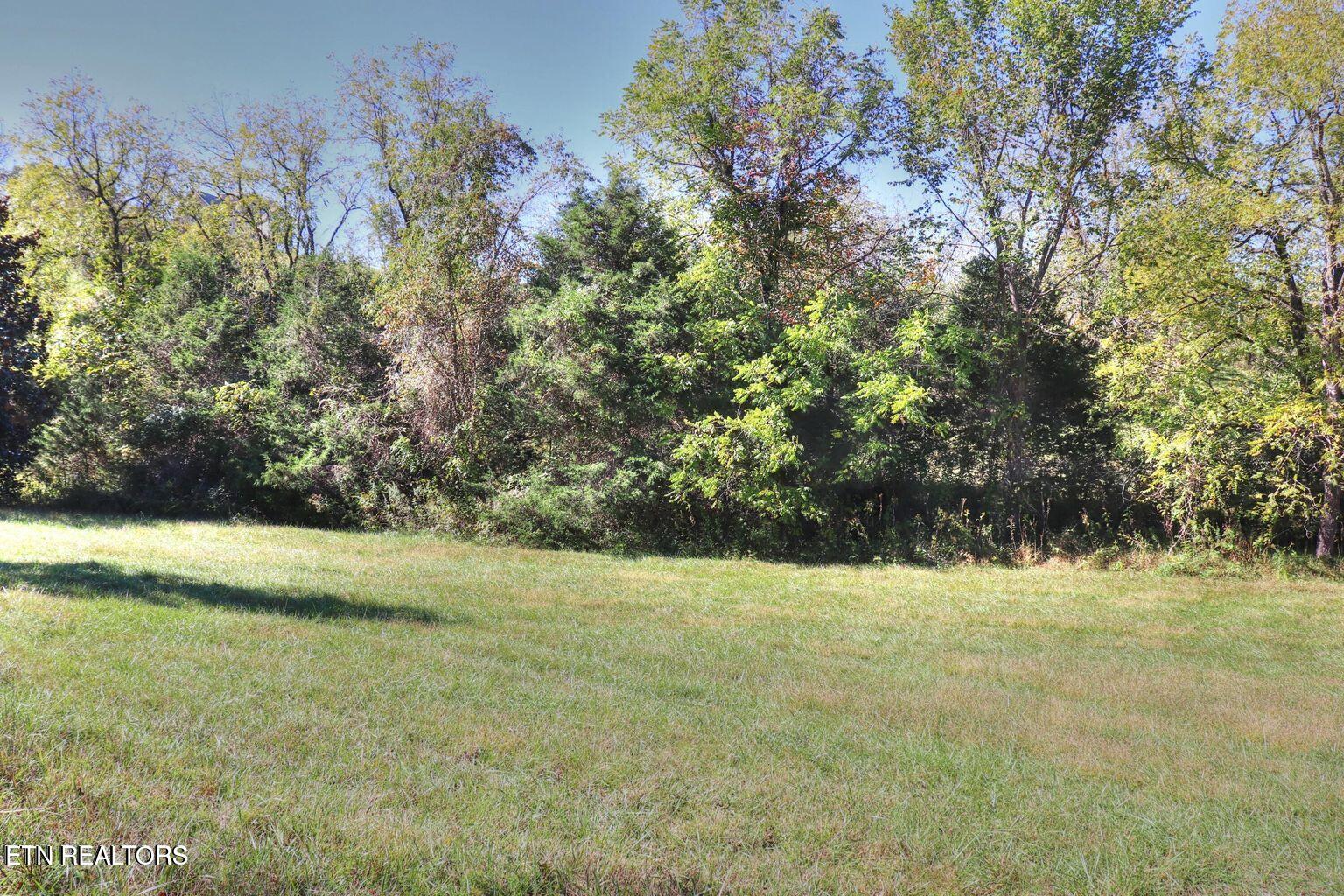 Norris Lake Real Estate - Image# 10