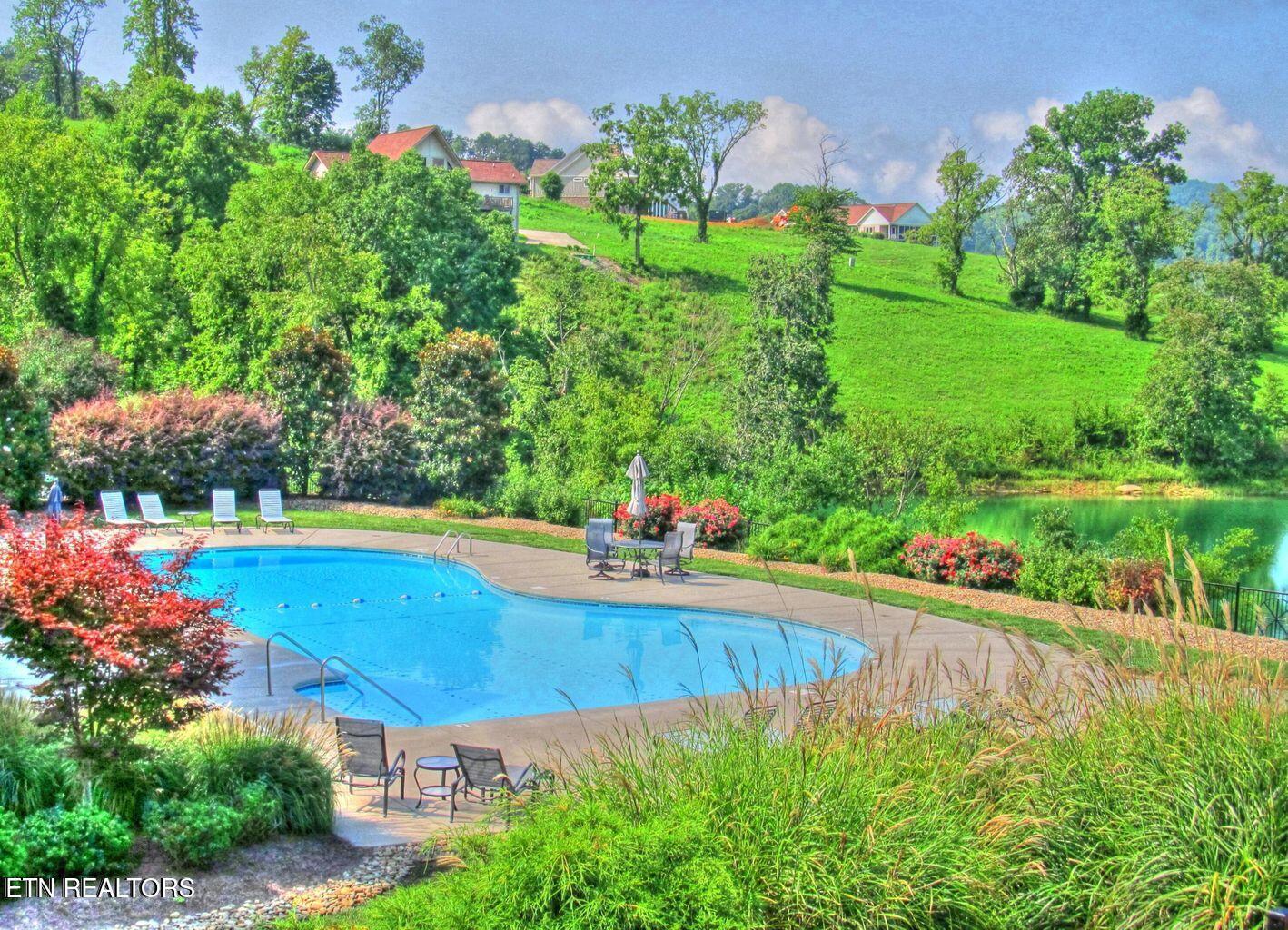 Norris Lake Real Estate - Image# 14