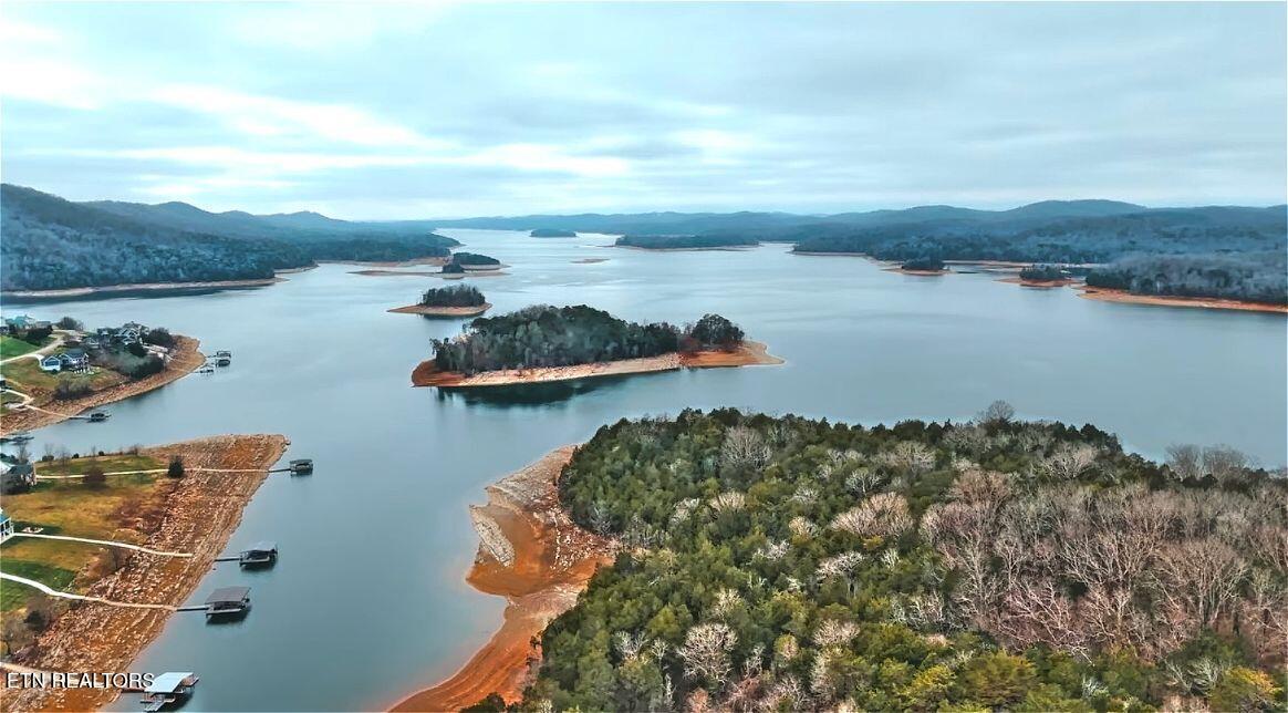 Norris Lake Real Estate - Image# 5