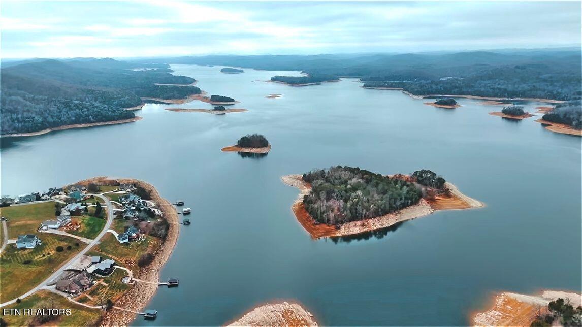 Norris Lake Real Estate - Image# 17