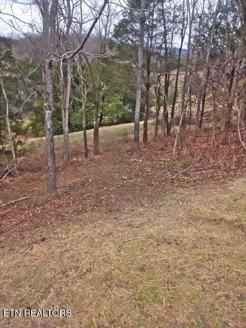 Norris Lake Real Estate - Image# 7