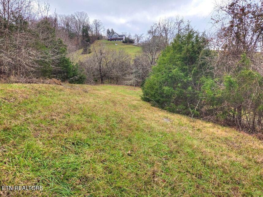 Norris Lake Real Estate - Image# 9