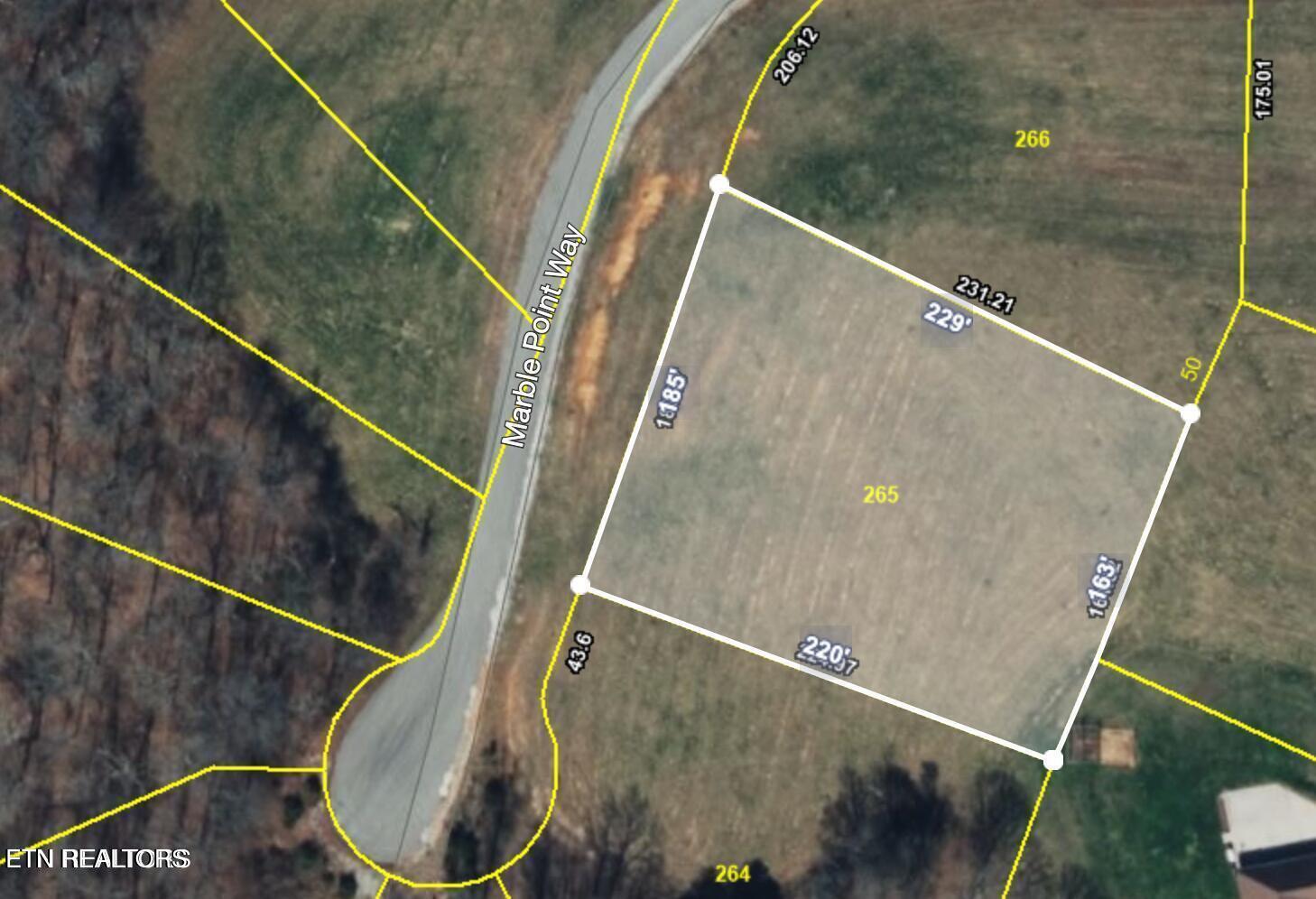 Norris Lake Real Estate - Image# 1