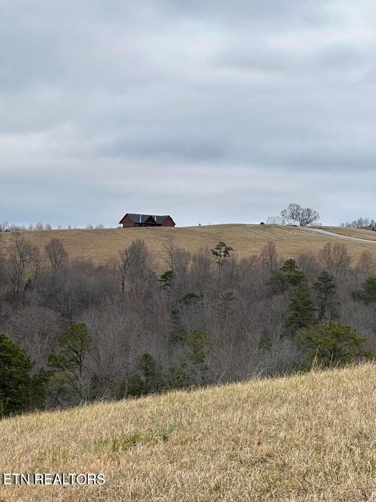 Norris Lake Real Estate - Image# 7