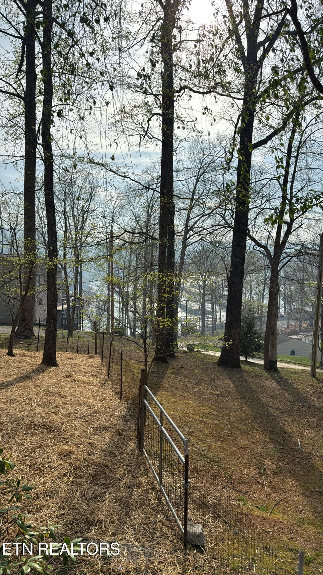 247 Lakeview Lane, Andersonville, TN - Norris Lake Real Estate - Image# 35