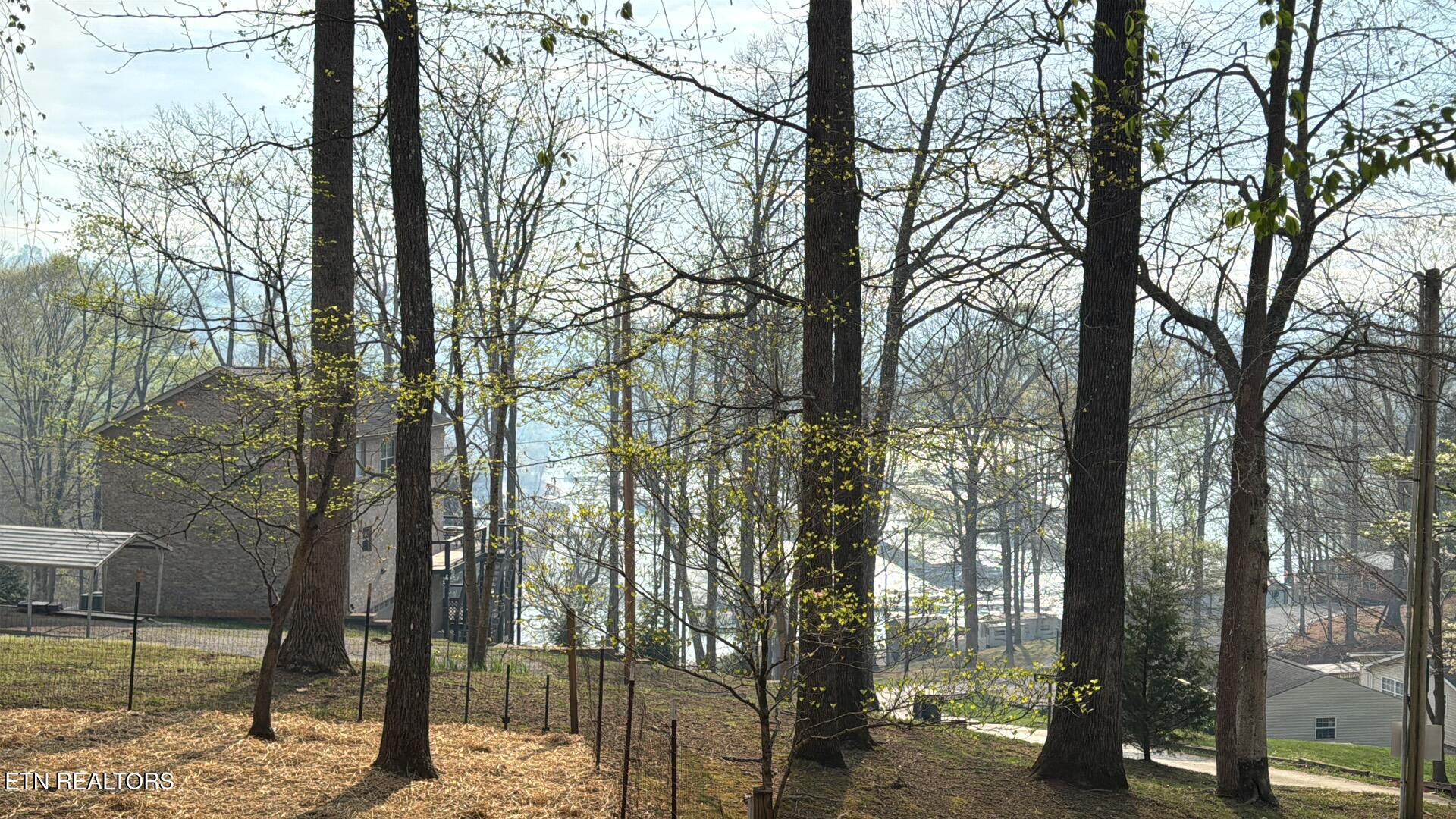 247 Lakeview Lane, Andersonville, TN - Norris Lake Real Estate - Image# 36