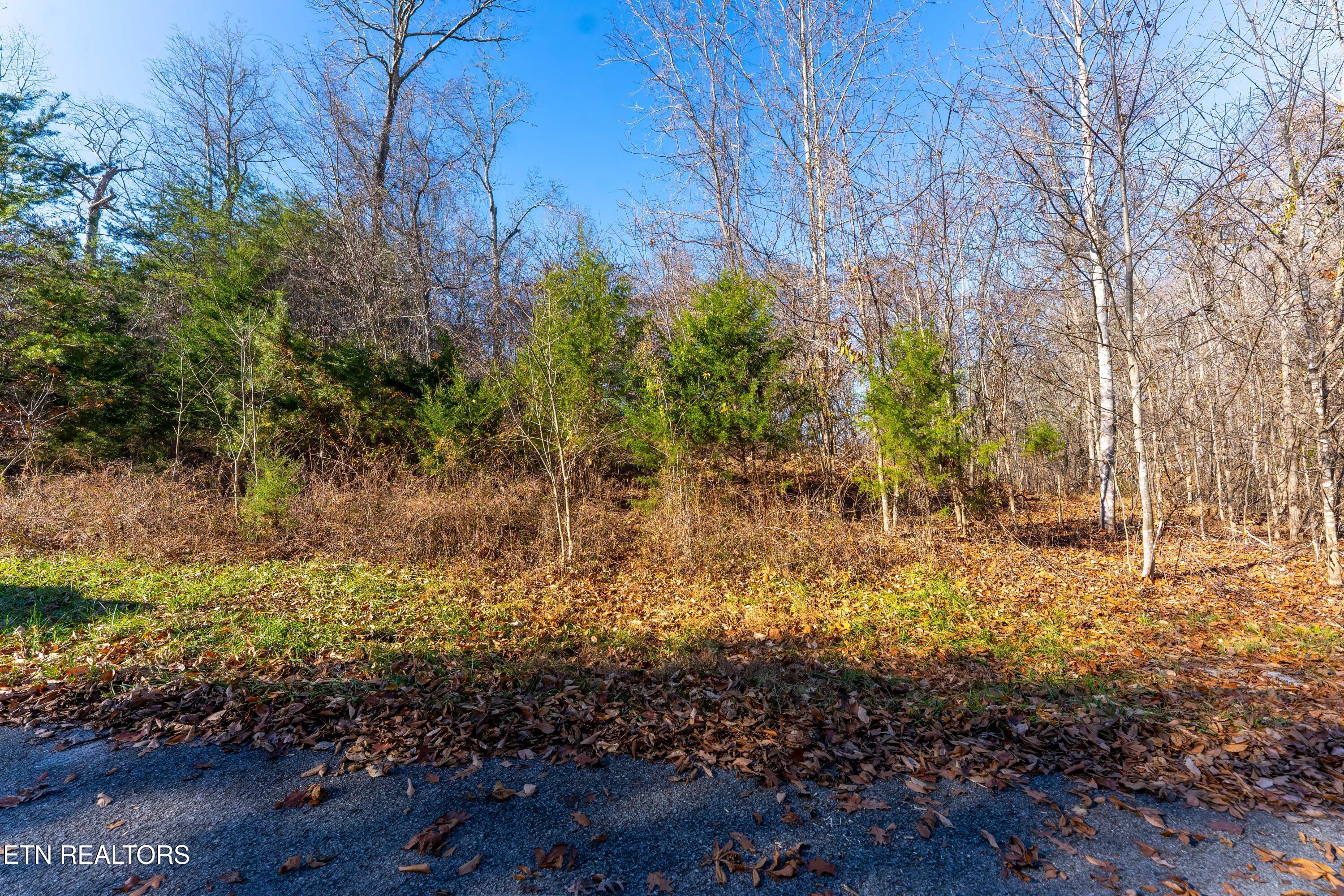 Norris Lake Real Estate - Image# 6