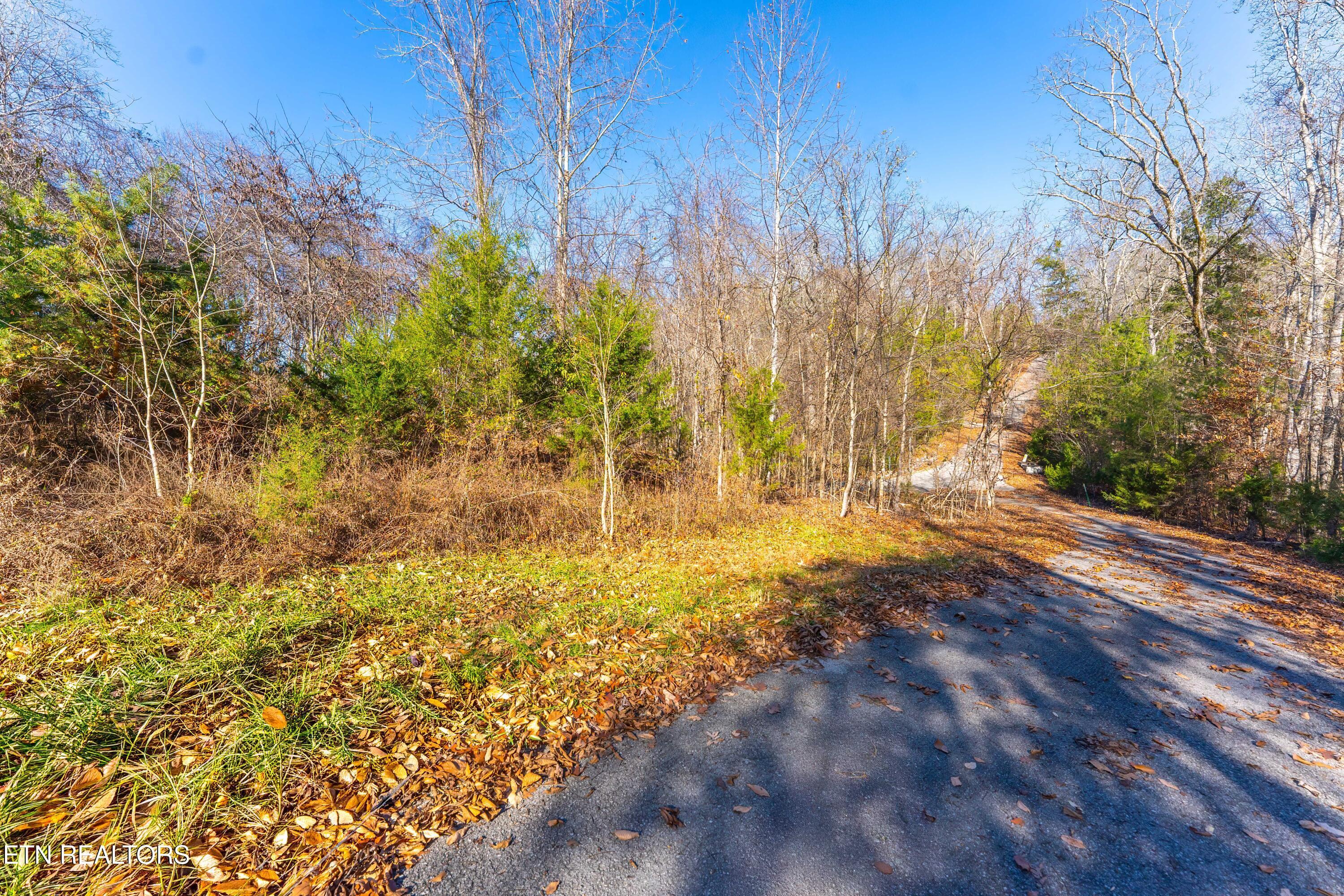 Norris Lake Real Estate - Image# 7