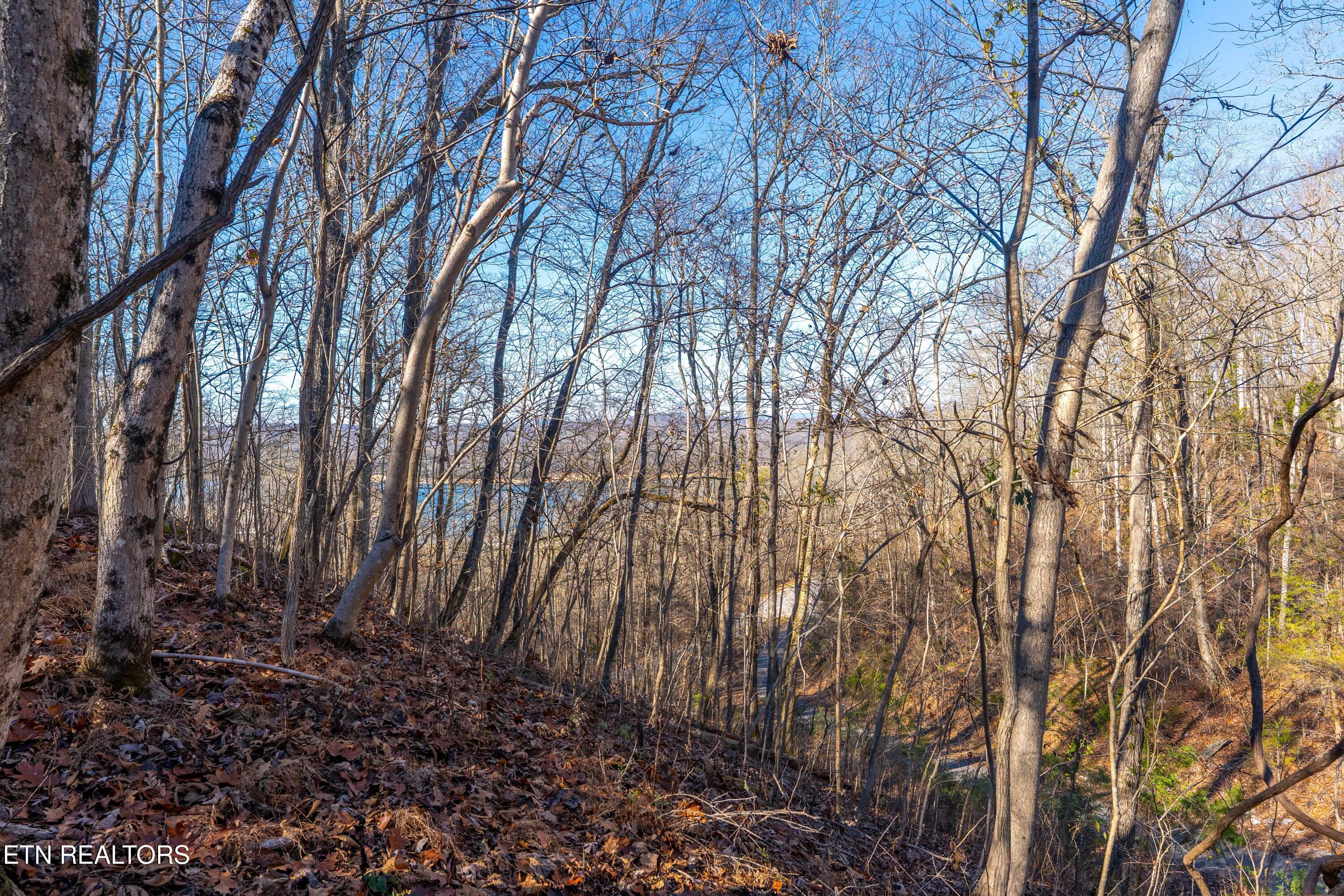 Norris Lake Real Estate - Image# 5