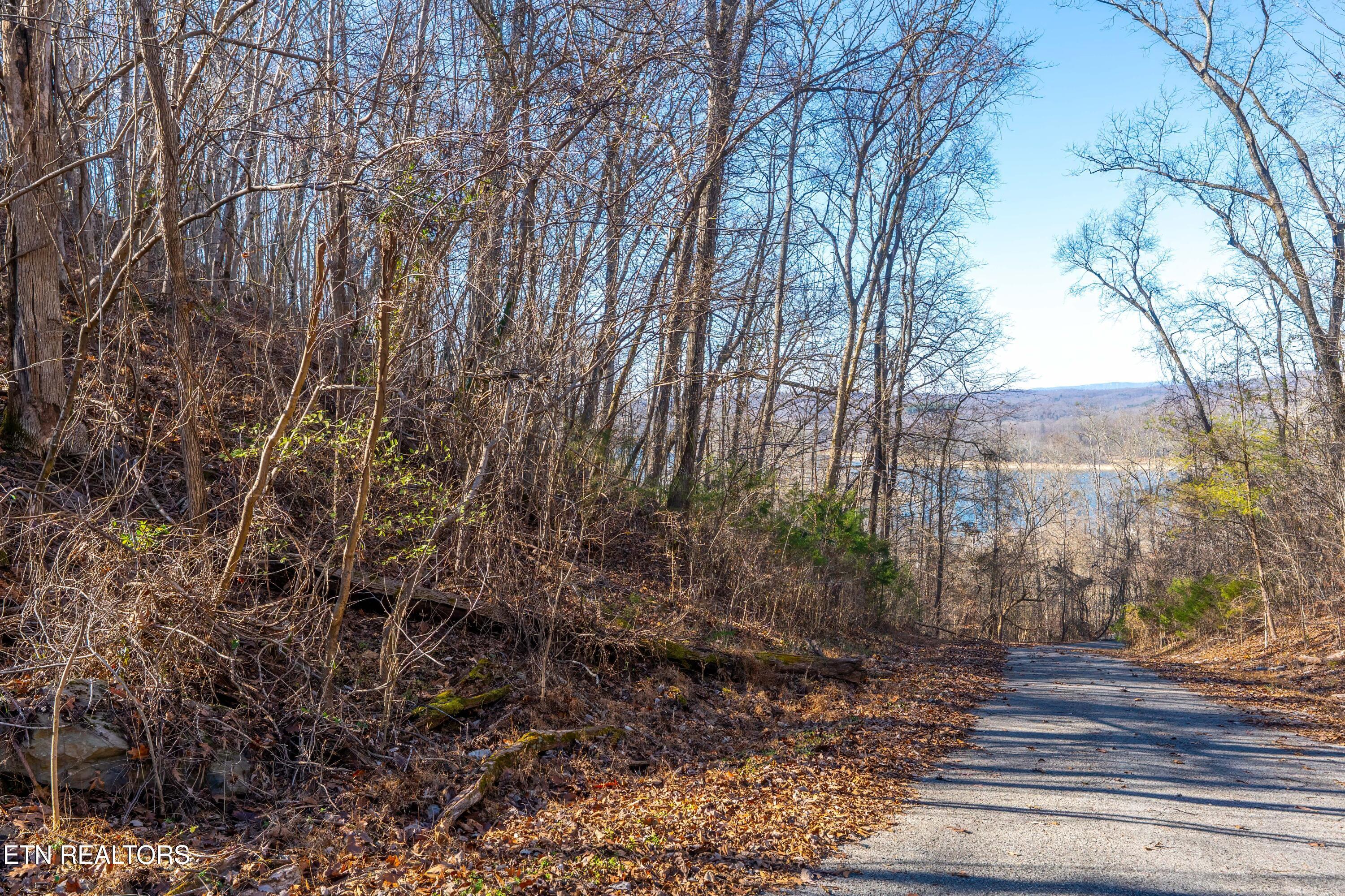 Norris Lake Real Estate - Image# 8