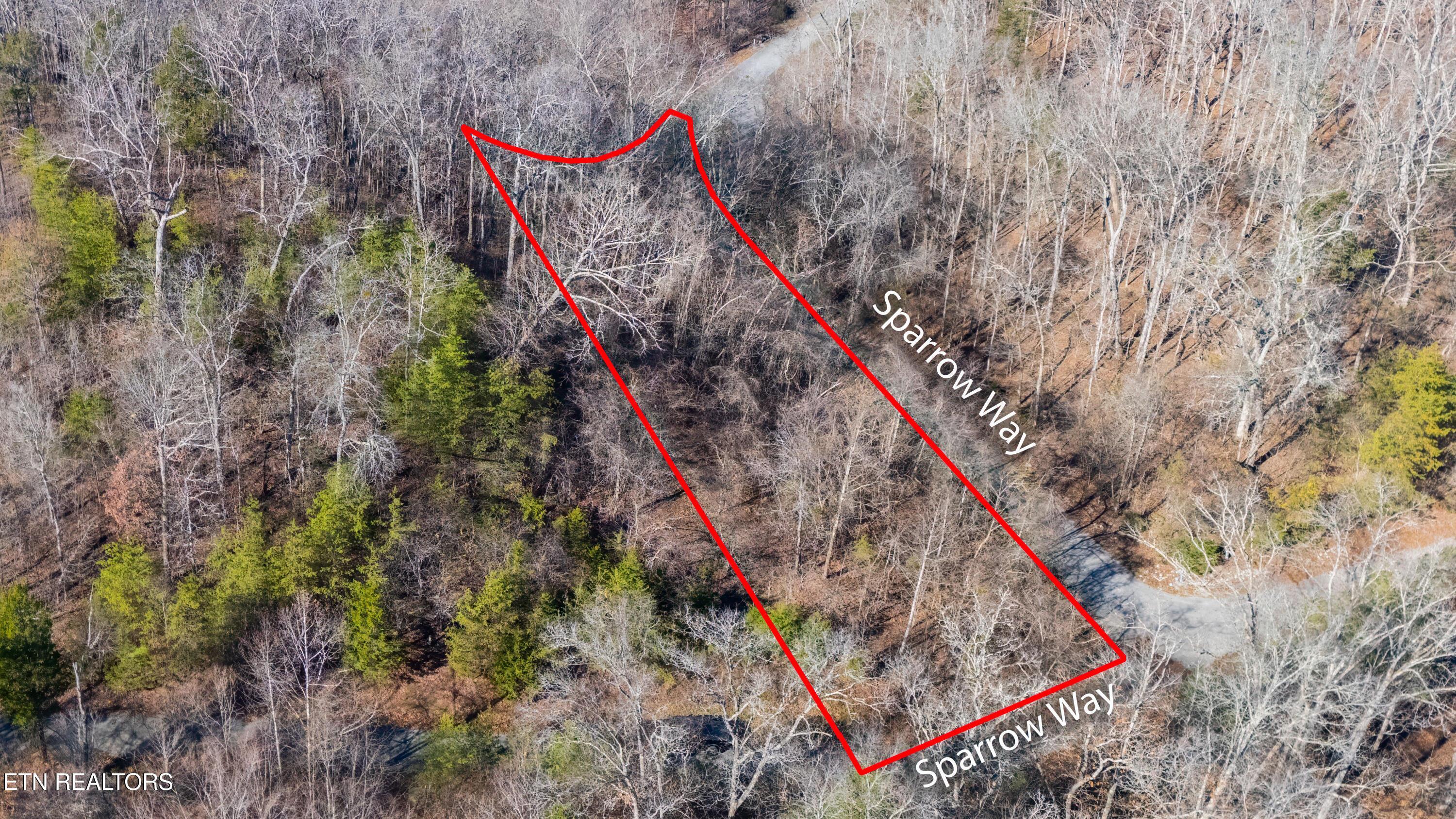 Norris Lake Real Estate - Image# 4
