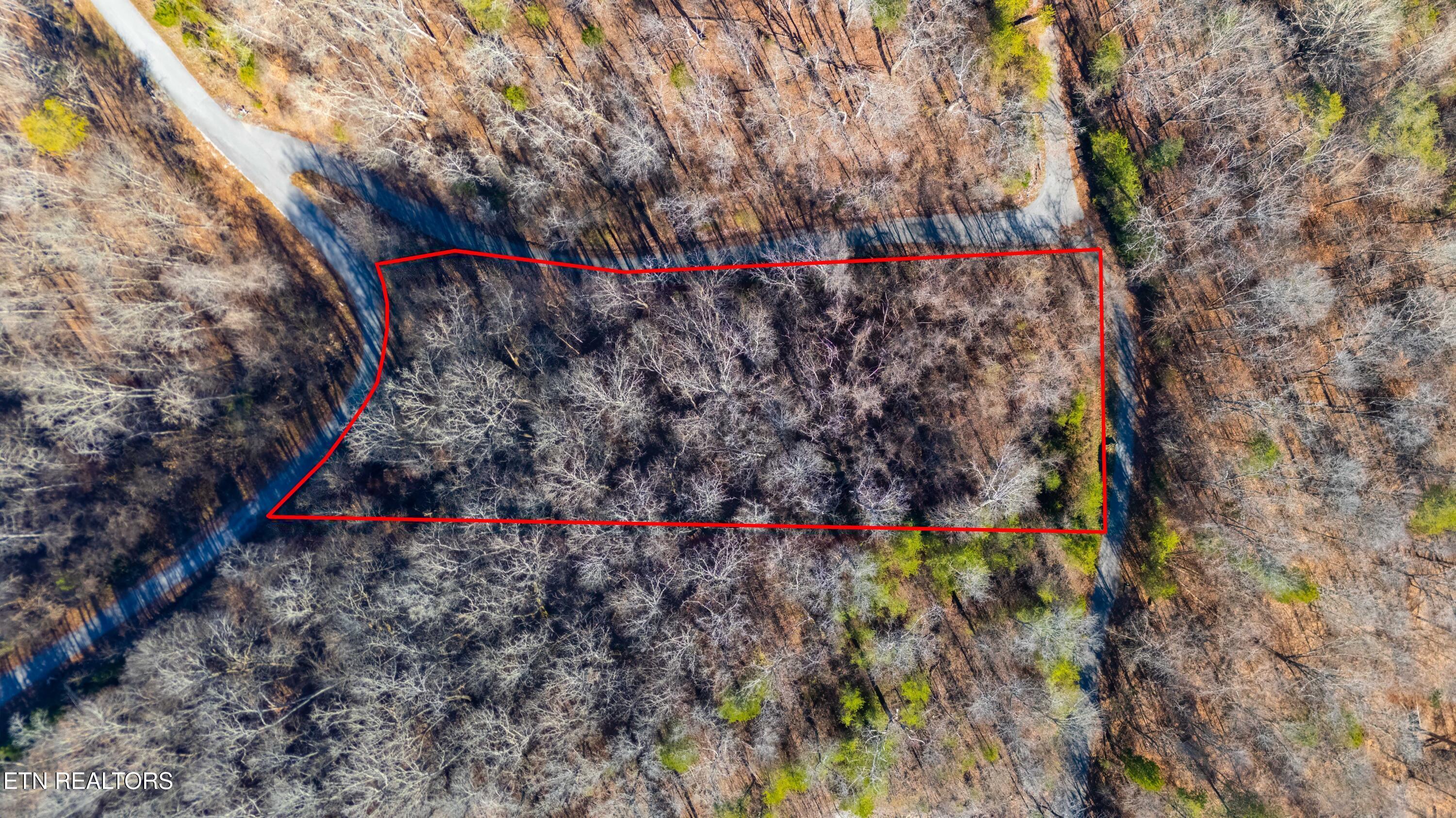 Norris Lake Real Estate - Image# 3