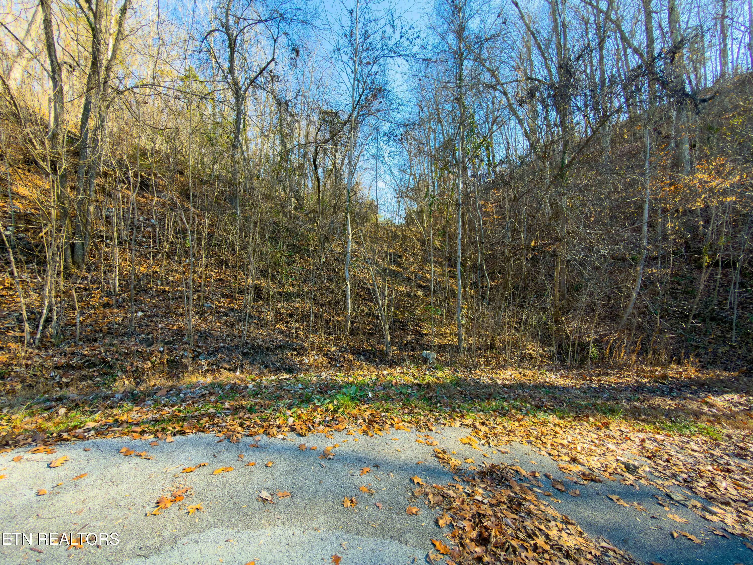 Norris Lake Real Estate - Image# 9