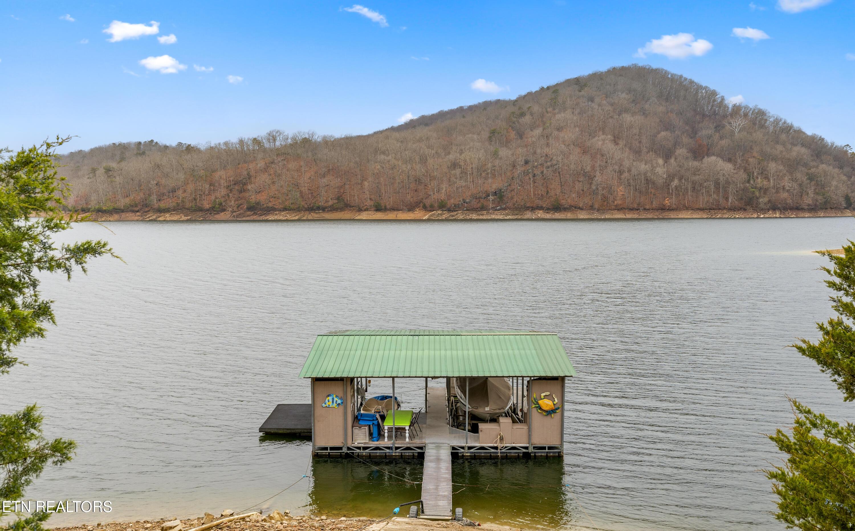 1420 Lakeview Drive, Sharps Chapel, TN - Norris Lake Real Estate - Image# 50