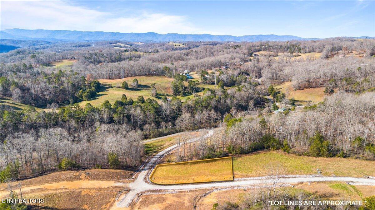 Norris Lake Real Estate - Image# 1